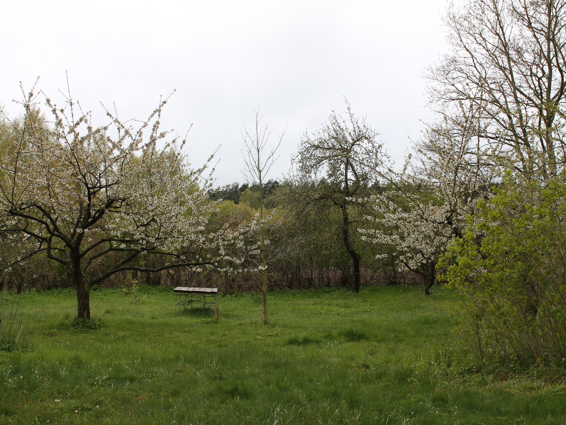 Landlust pur: knus appartement voor 2 op het platteland bij Neuburg - foto 17
