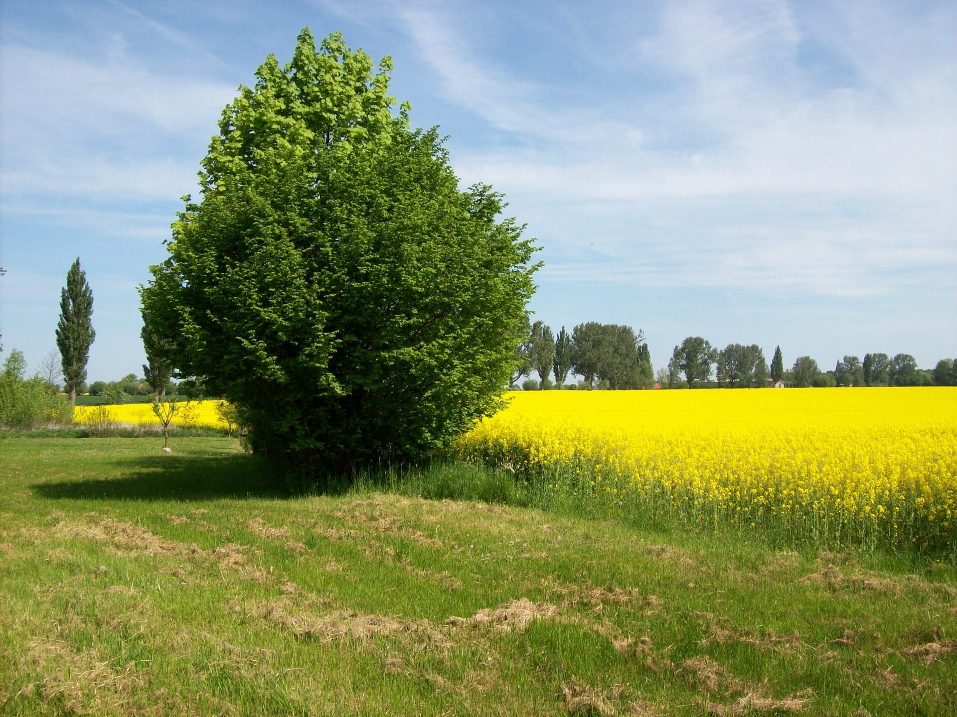Landlust pur: knus appartement voor 2 op het platteland bij Neuburg - foto 30