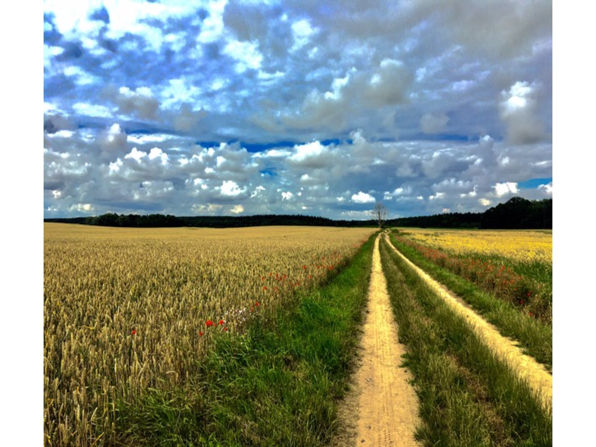 Landlust pur: knus appartement voor 2 op het platteland bij Neuburg - foto 28