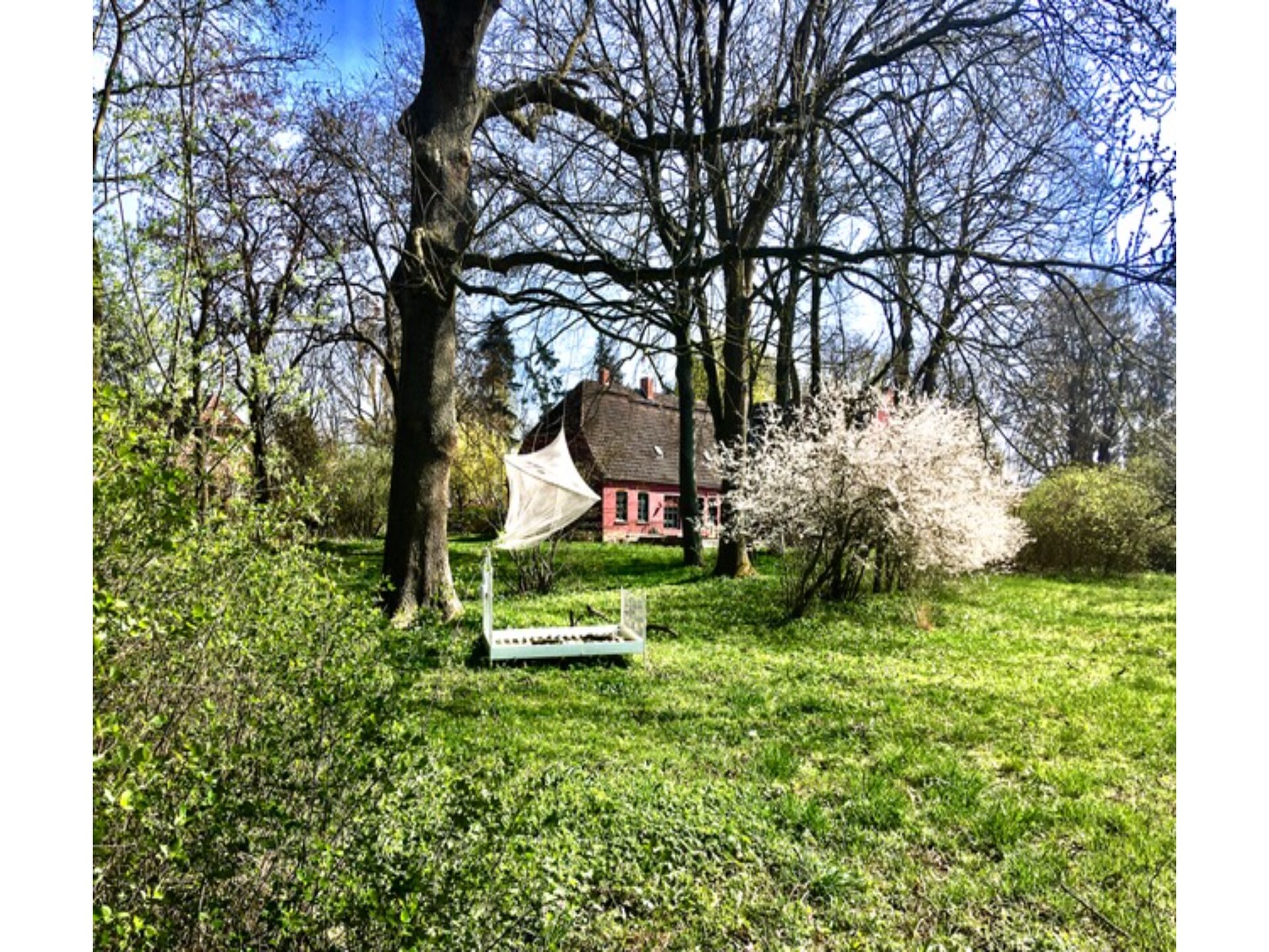 Landlust pur: knus appartement voor 2 op het platteland bij Neuburg - foto 23