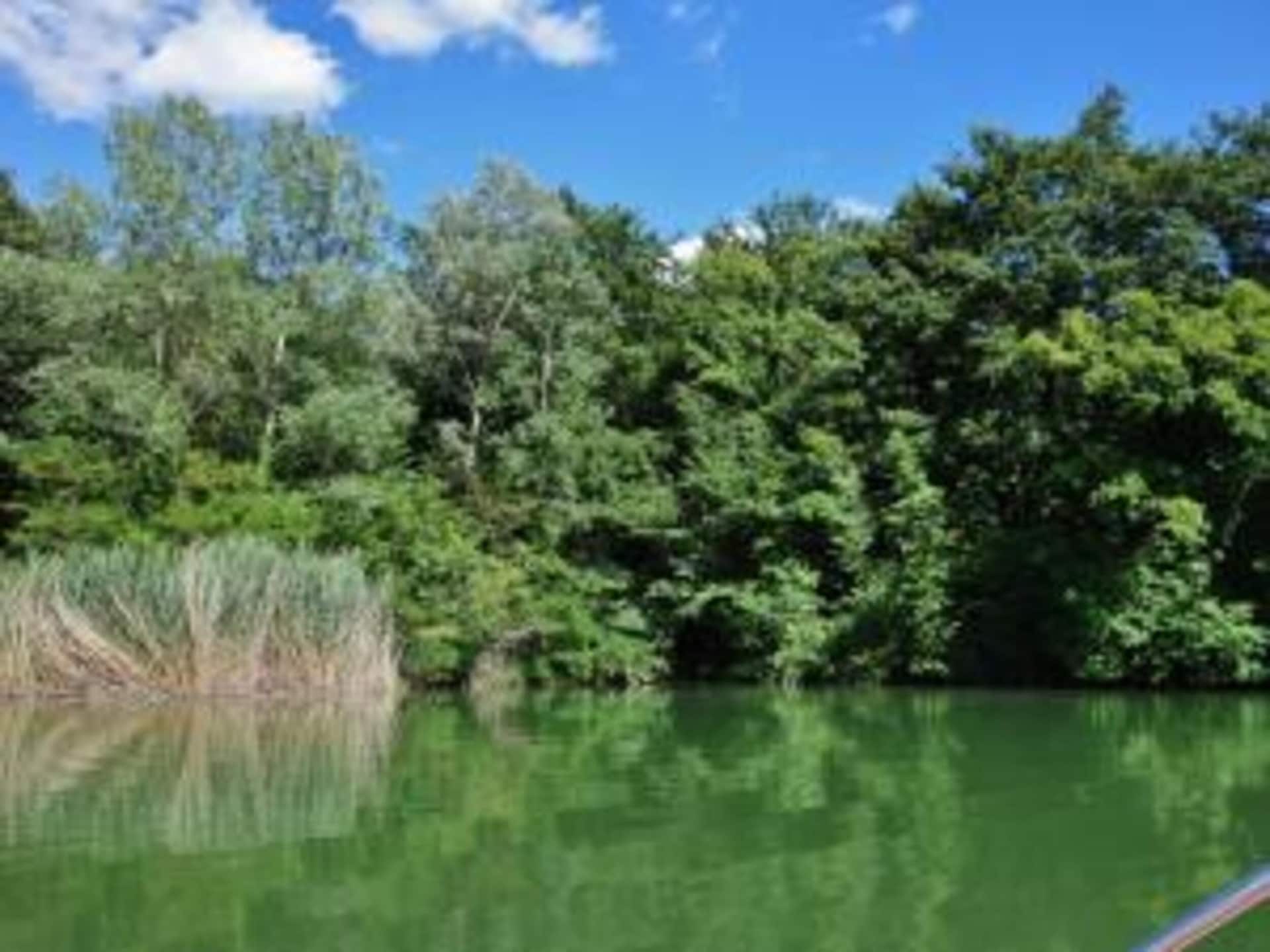 Rustieke boerderij Essiccatoio Bianco in Città di Castello - foto 33