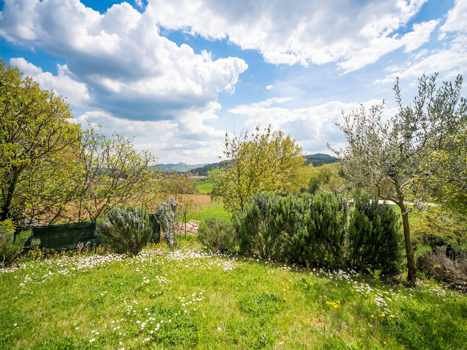 Sfeervolle boerderij Essiccatoio Rosa in Città di Castello - foto 34