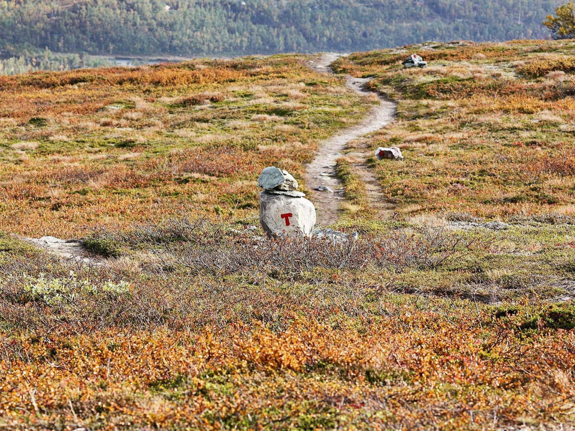 Rustiek vakantiehuis in Rennebu, 10m van skilift & vlakbij Nationaal Park Trollheimen - foto 48