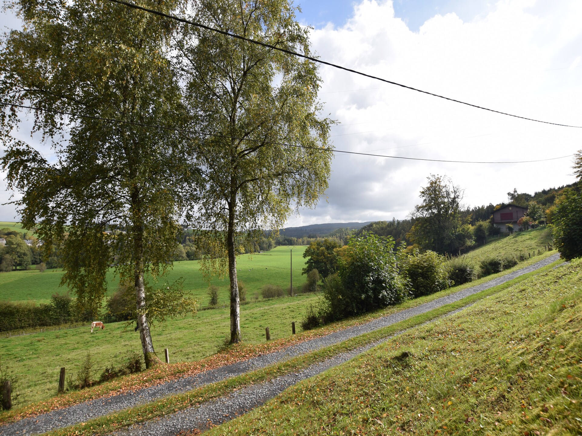 Op 1,0 km van het meer: knus 4-persoons vakantiehuis in Tenneville - foto 21