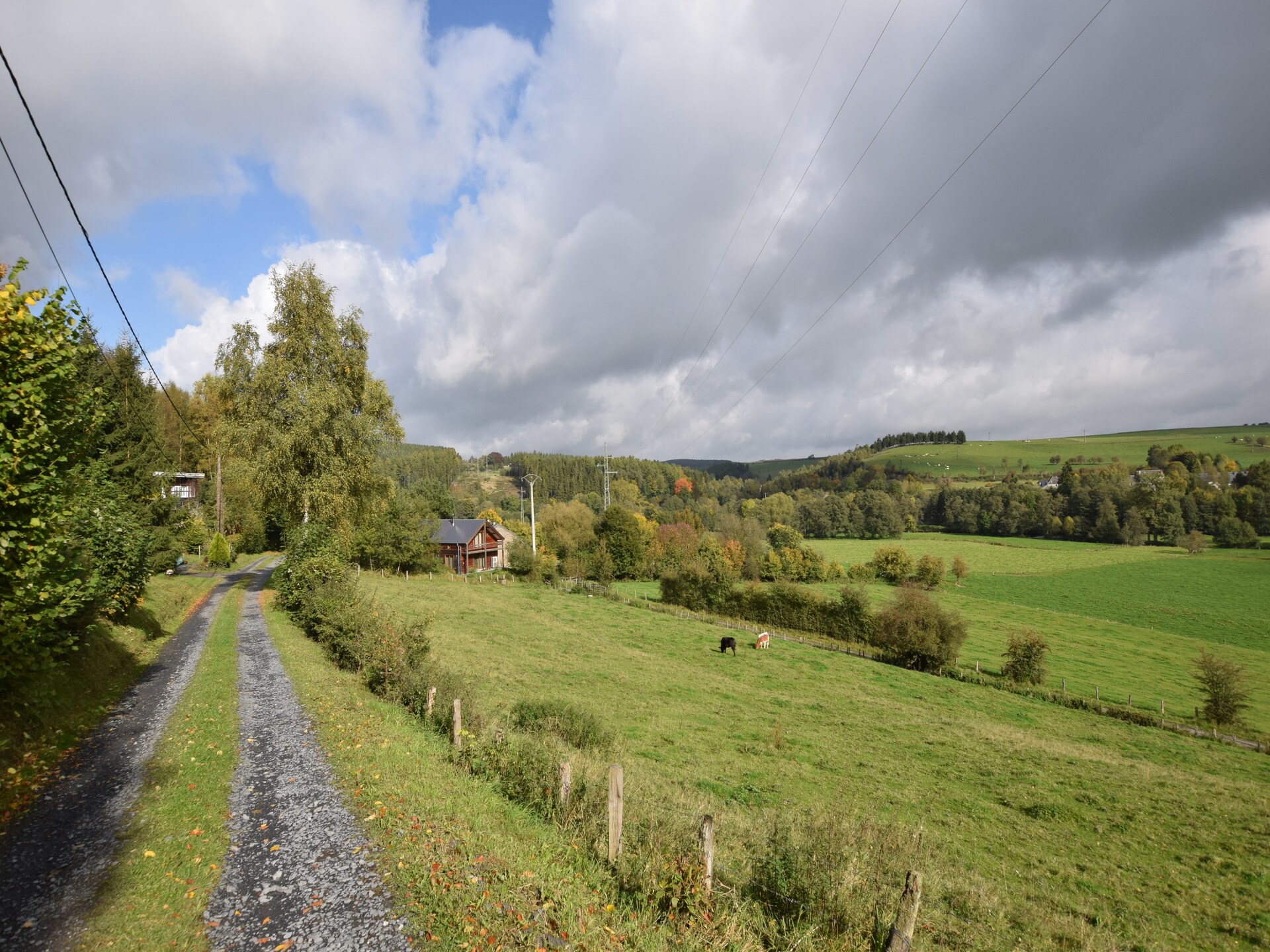 Op 1,0 km van het meer: knus 4-persoons vakantiehuis in Tenneville - foto 9