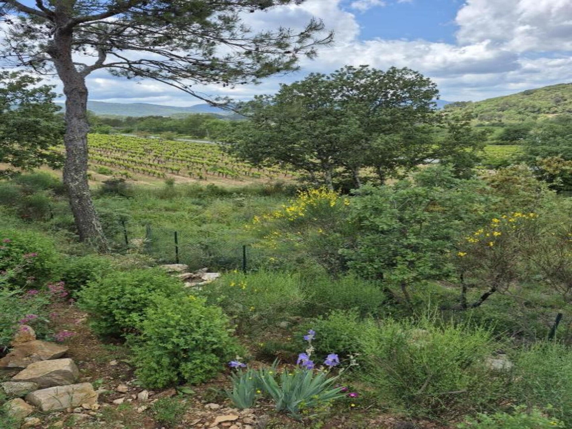 Villa Maeva: Ruim vakantiehuis met privézwembad in Lorgues, Provence - foto 37