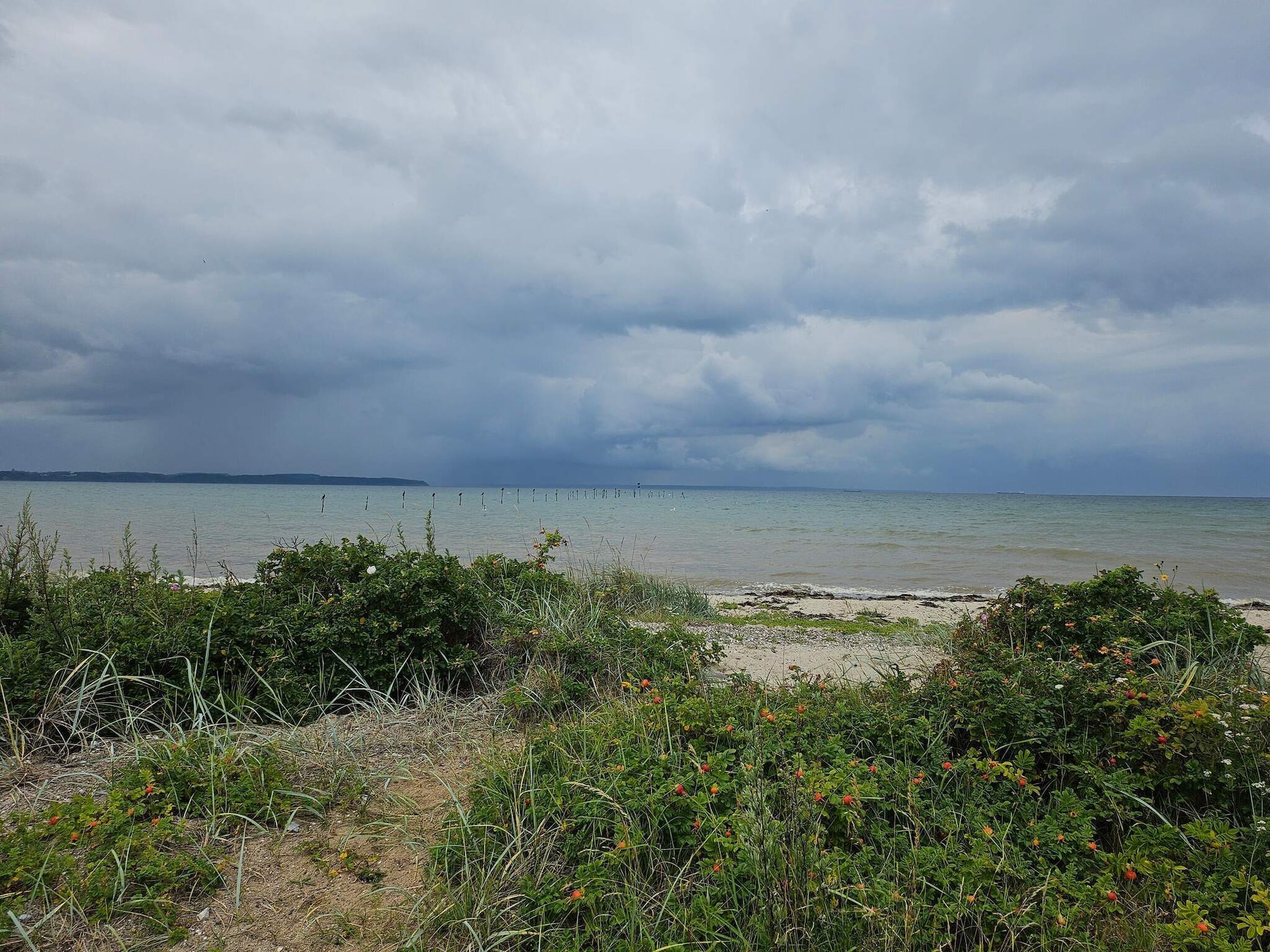 6-persoons vakantiehuis aan zee in Brenderup Fyn - foto 12