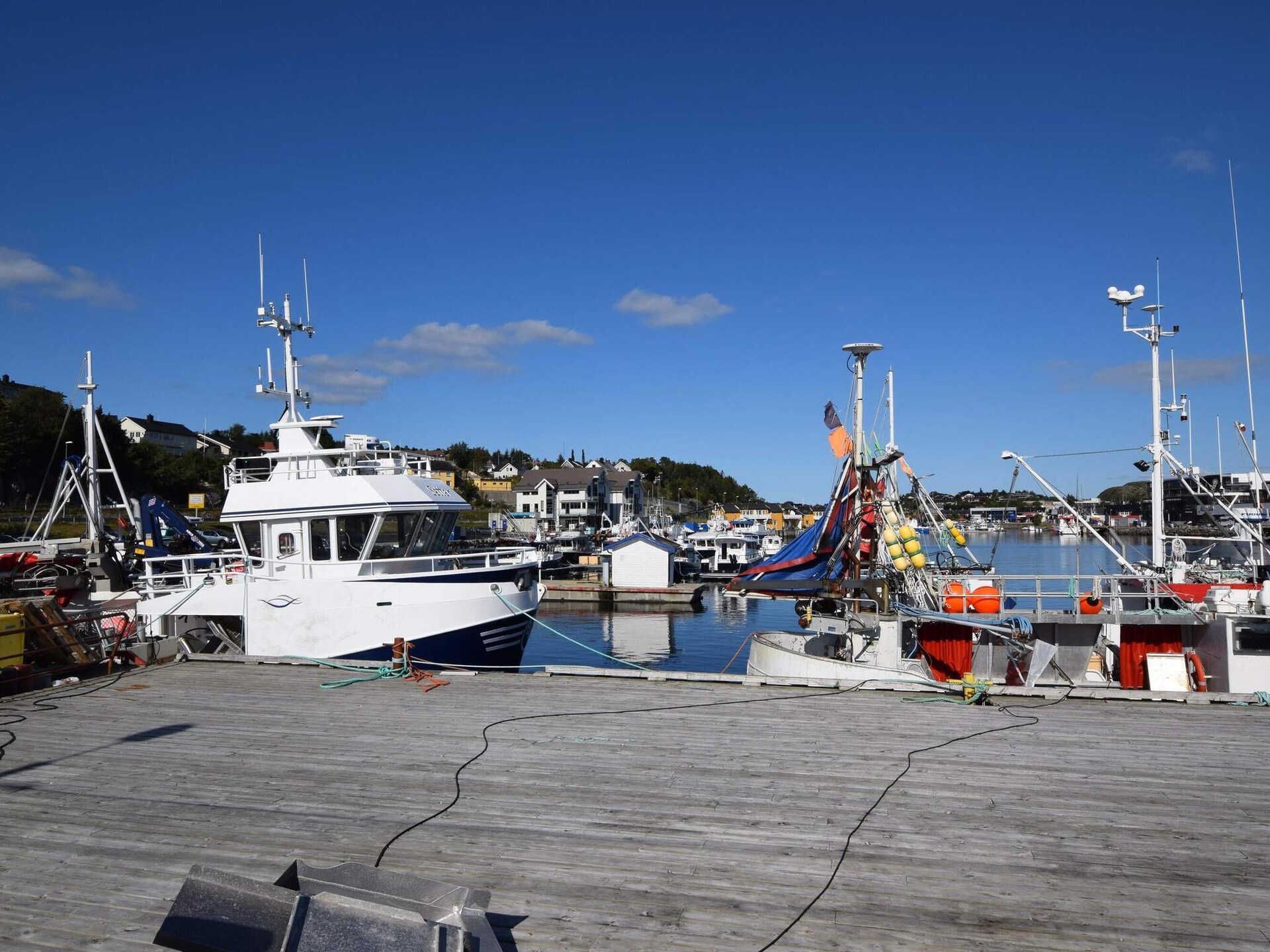 Vakantiehuis Årfjor: direct aan de fjord met uitzicht, Foldereid - foto 10