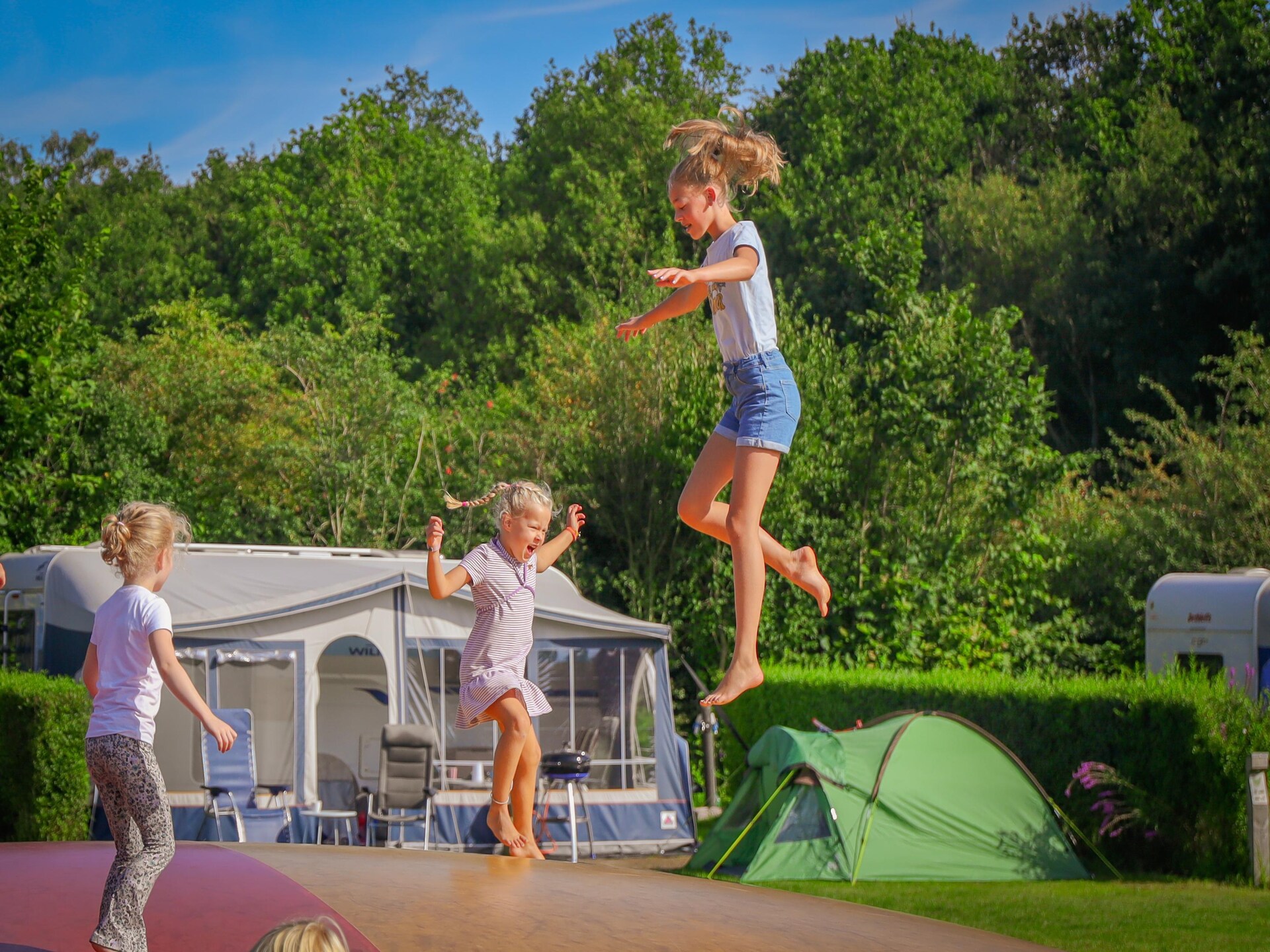 Luxe Safaritent op Recreatiepark de Boshoek in Voorthuizen - foto 22