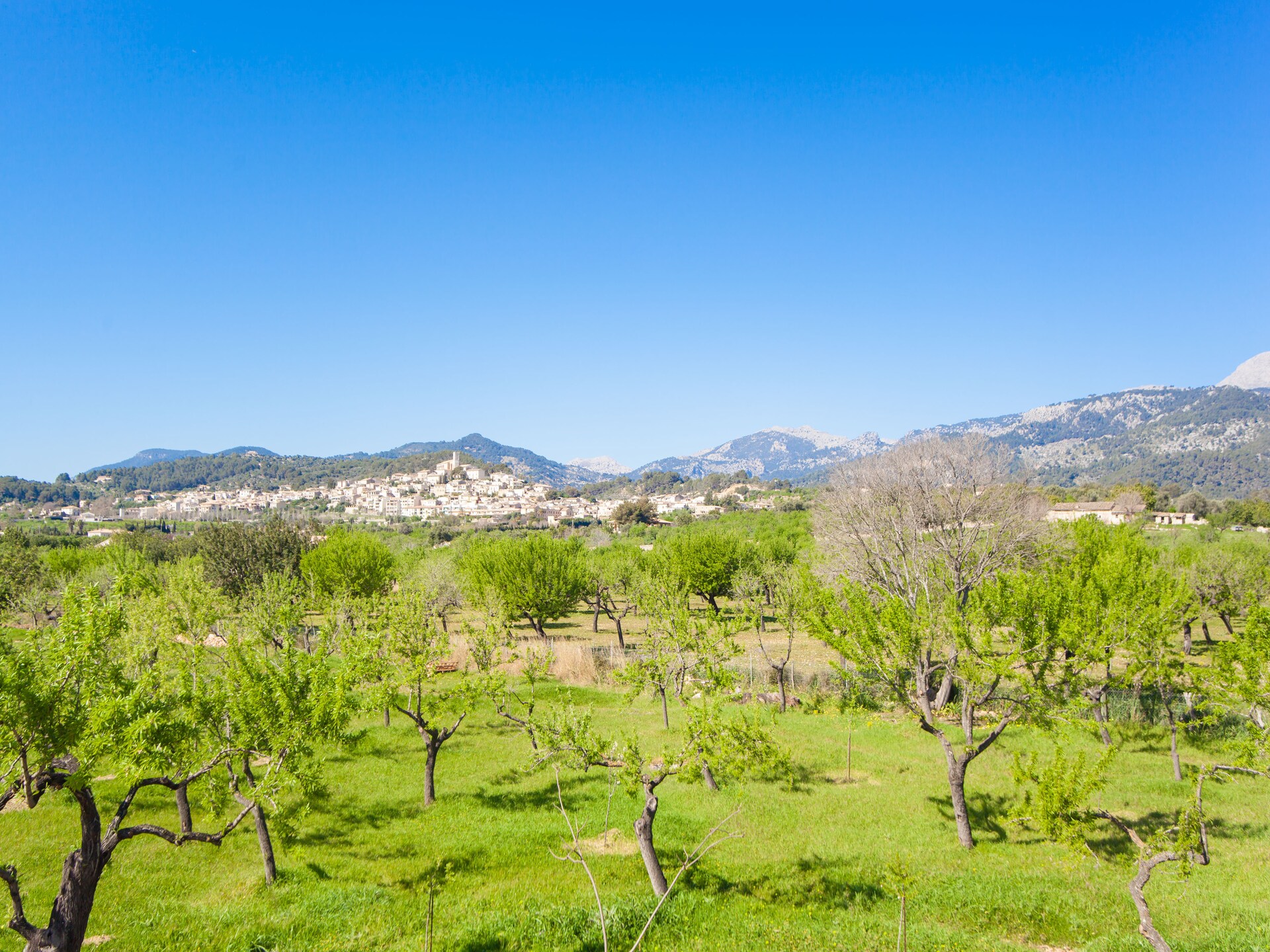 Intieme villa met zoutwaterbad en uitzicht op de Tramuntana, nabij Selva - foto 21