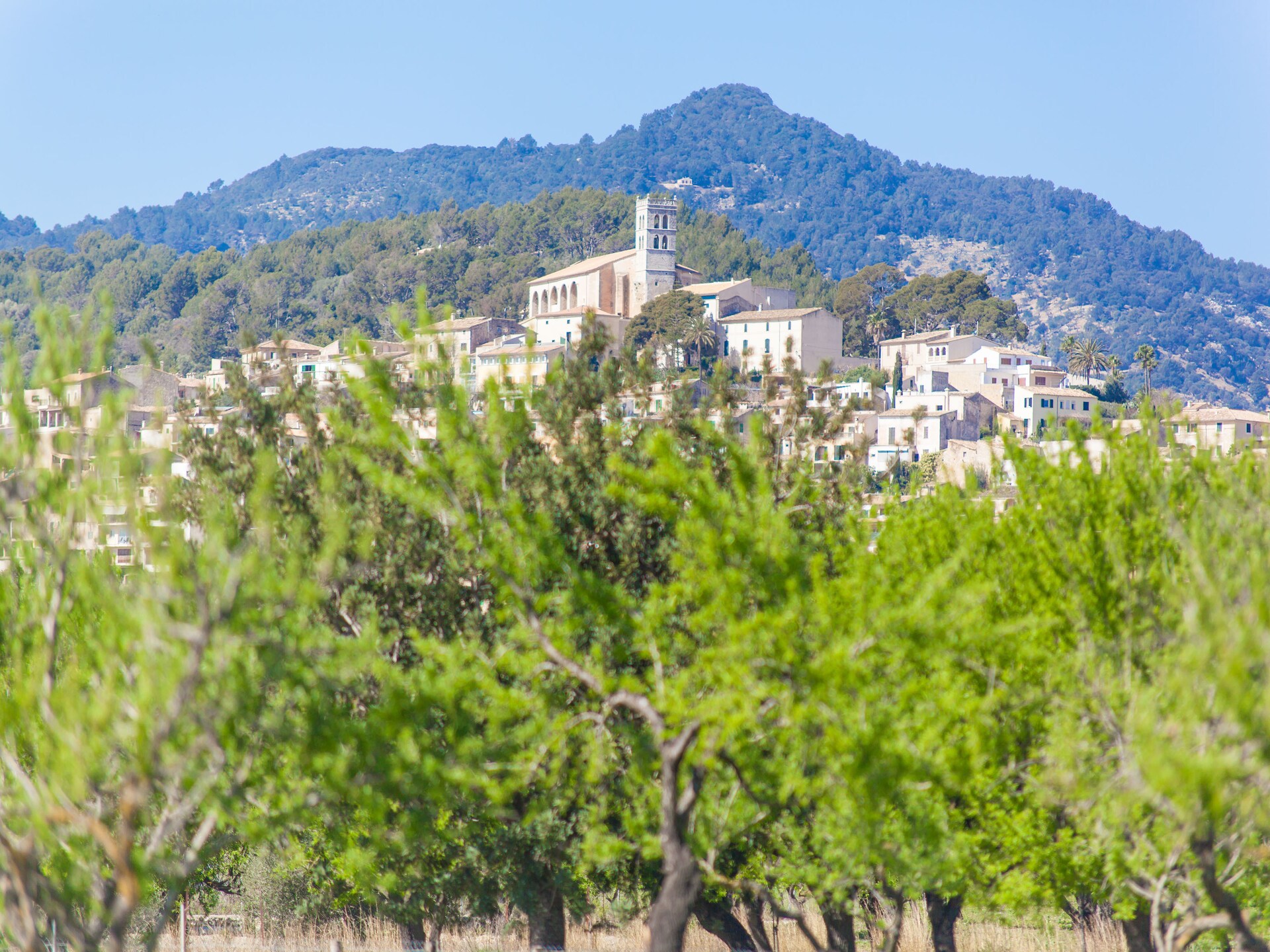 Intieme villa met zoutwaterbad en uitzicht op de Tramuntana, nabij Selva - foto 16