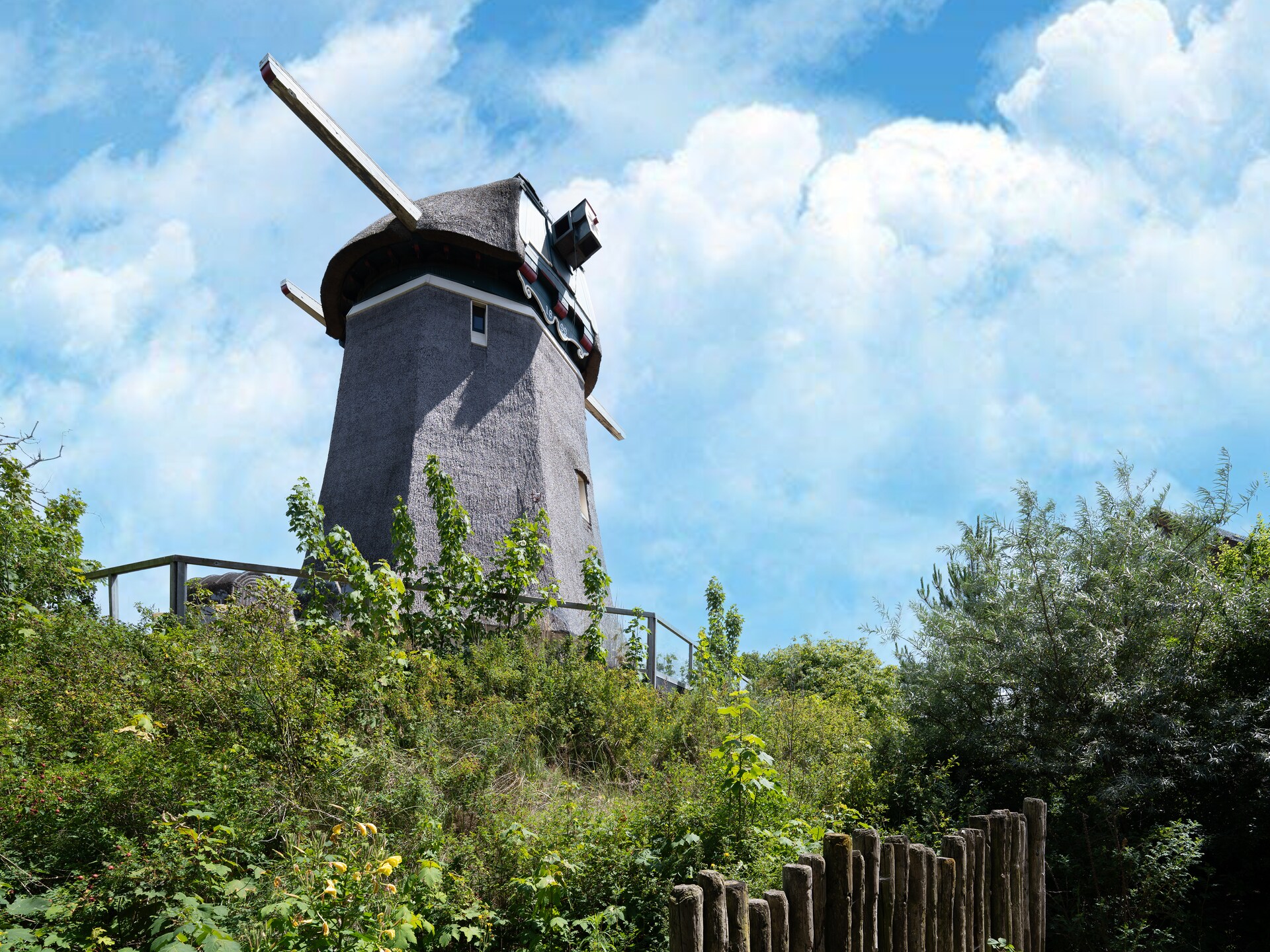 Onder de Molen: luxe duinvilla met sauna bij authentieke Egmondse molen - foto 29