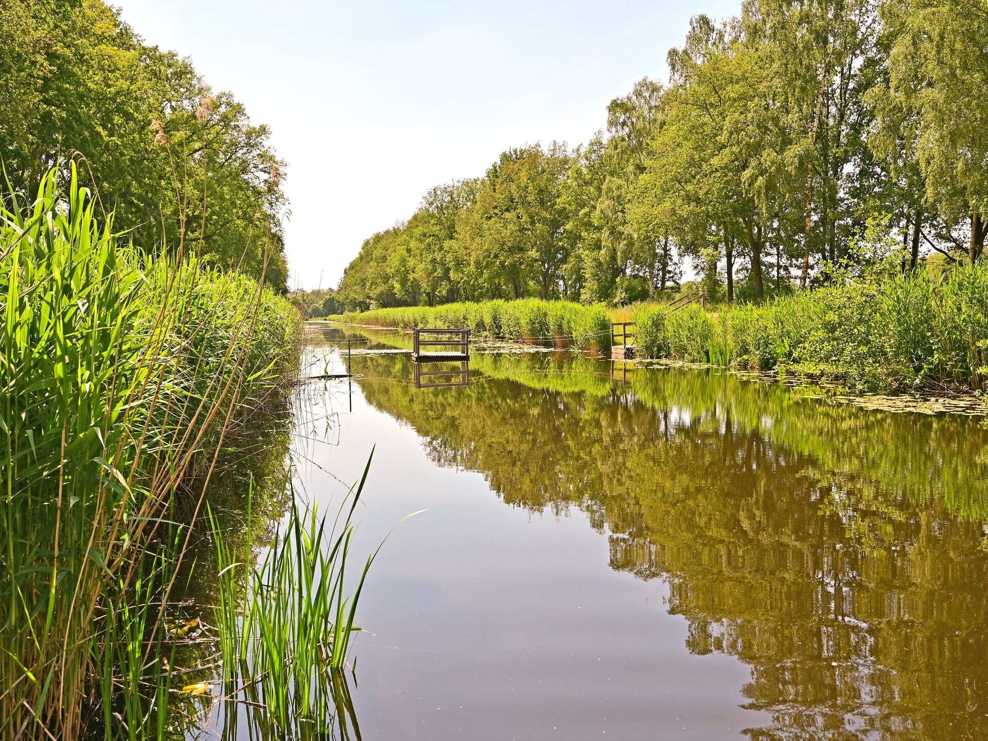 Wellness vakantiehuis Zijzicht met sauna en bubbelbad in bosrijk Reutum - foto 36