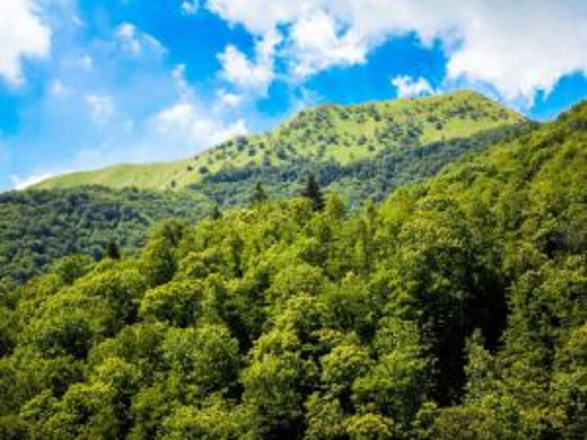 Authentiek Toscaans landhuis met privézwembad bij Lucca - foto 32