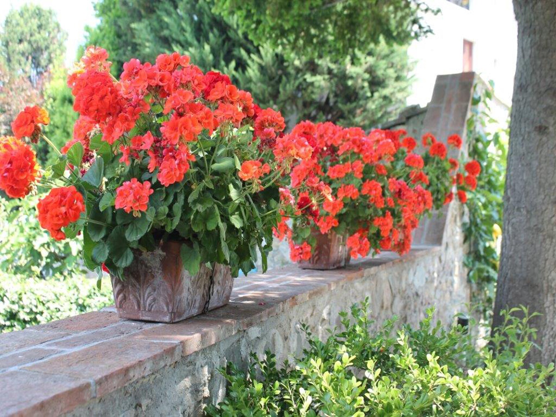 Stijlvol vakantiehuis met privézwembad en tuin nabij Lucca - foto 24