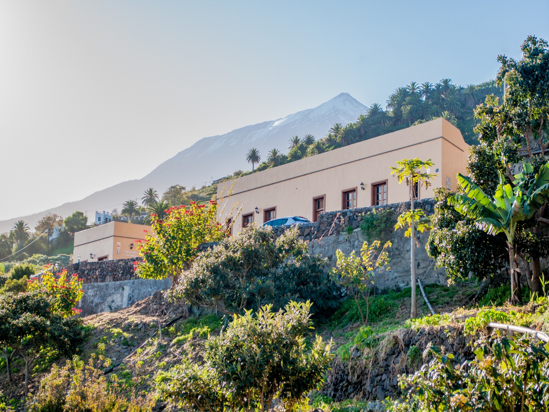 Sfeervol vakantiehuis La Gañanía in Icod de los Vinos - foto 29