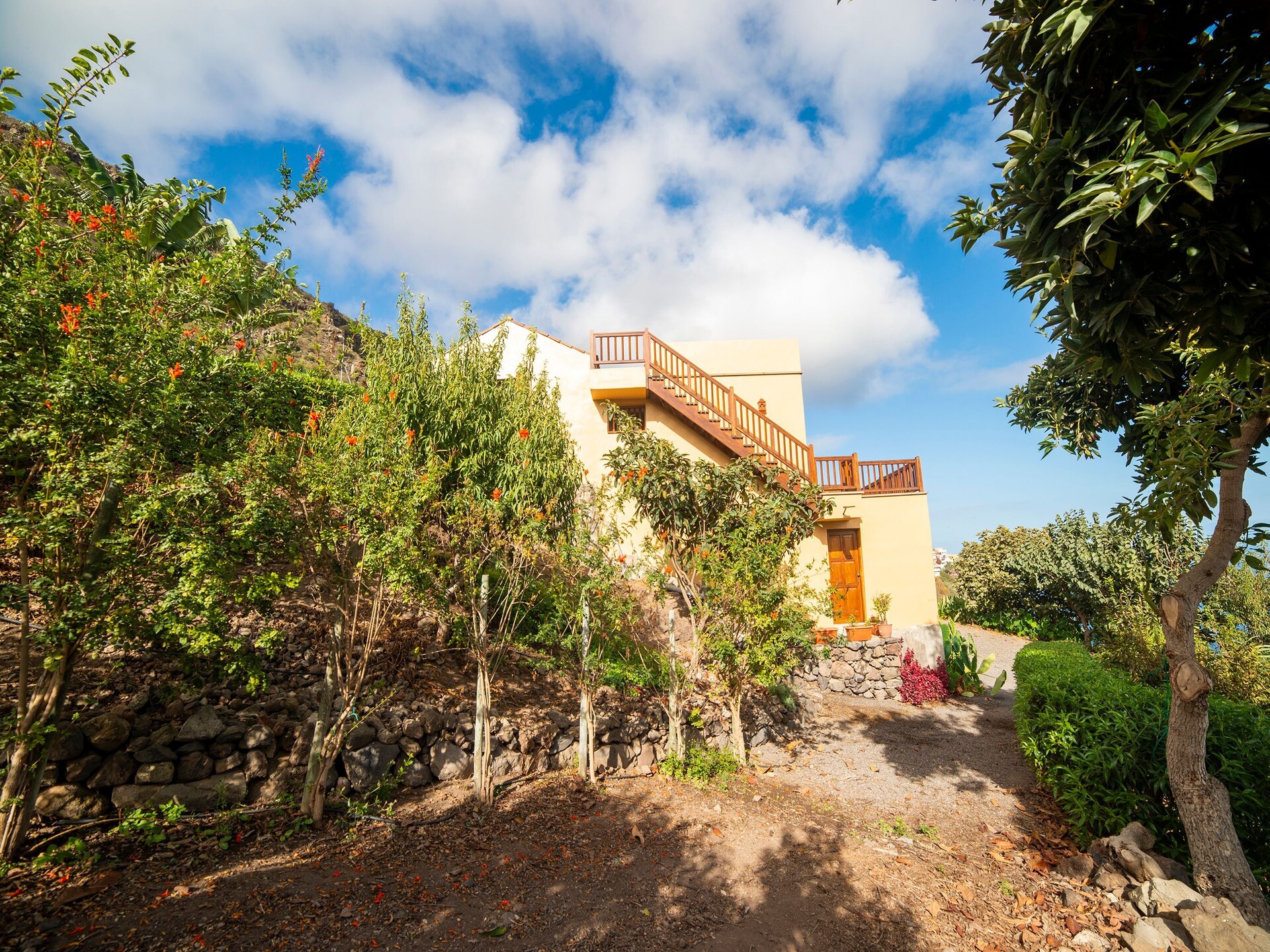 Sfeervol vakantiehuis La Gañanía in Icod de los Vinos - foto 8