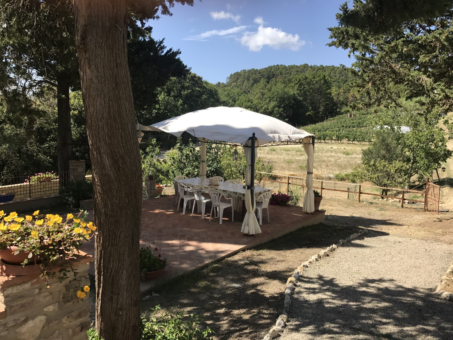 La Casa dei Nonni: Ruim vakantiehuis in Chianni voor 8 personen - foto 23