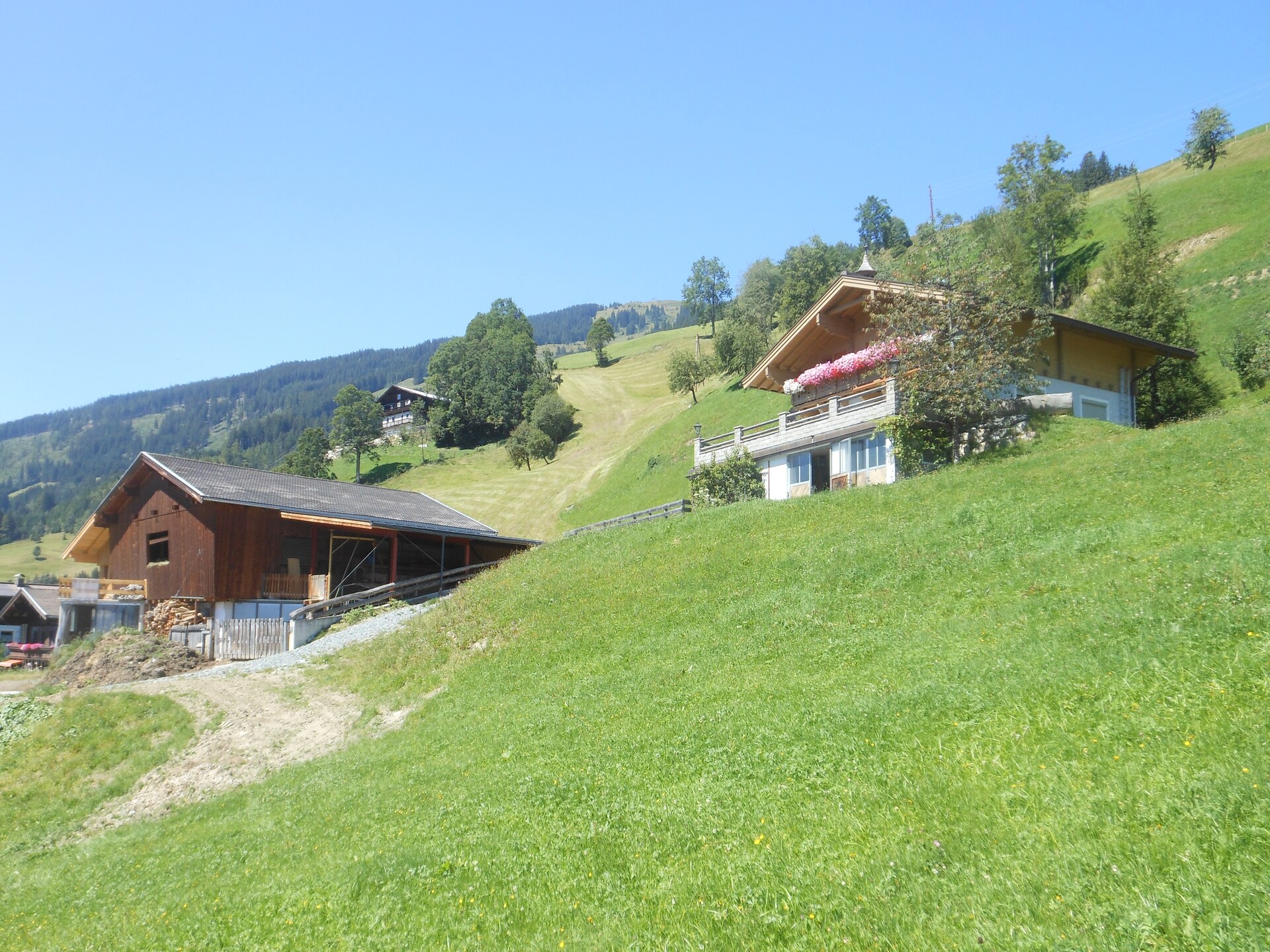 Ruim appartement voor 8 aan de skipiste in Hollersbach - foto 29