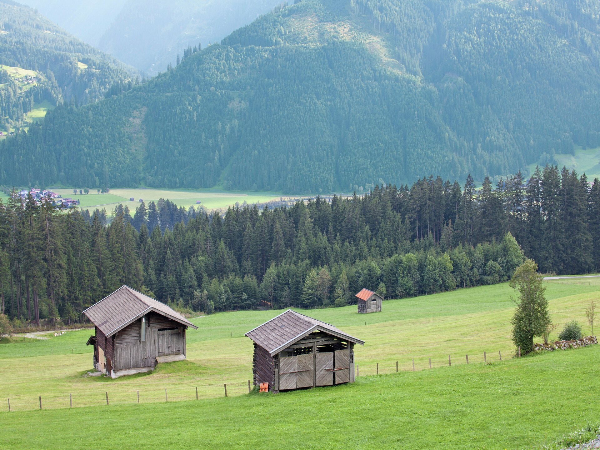 Ruim appartement voor 8 aan de skipiste in Hollersbach - foto 21