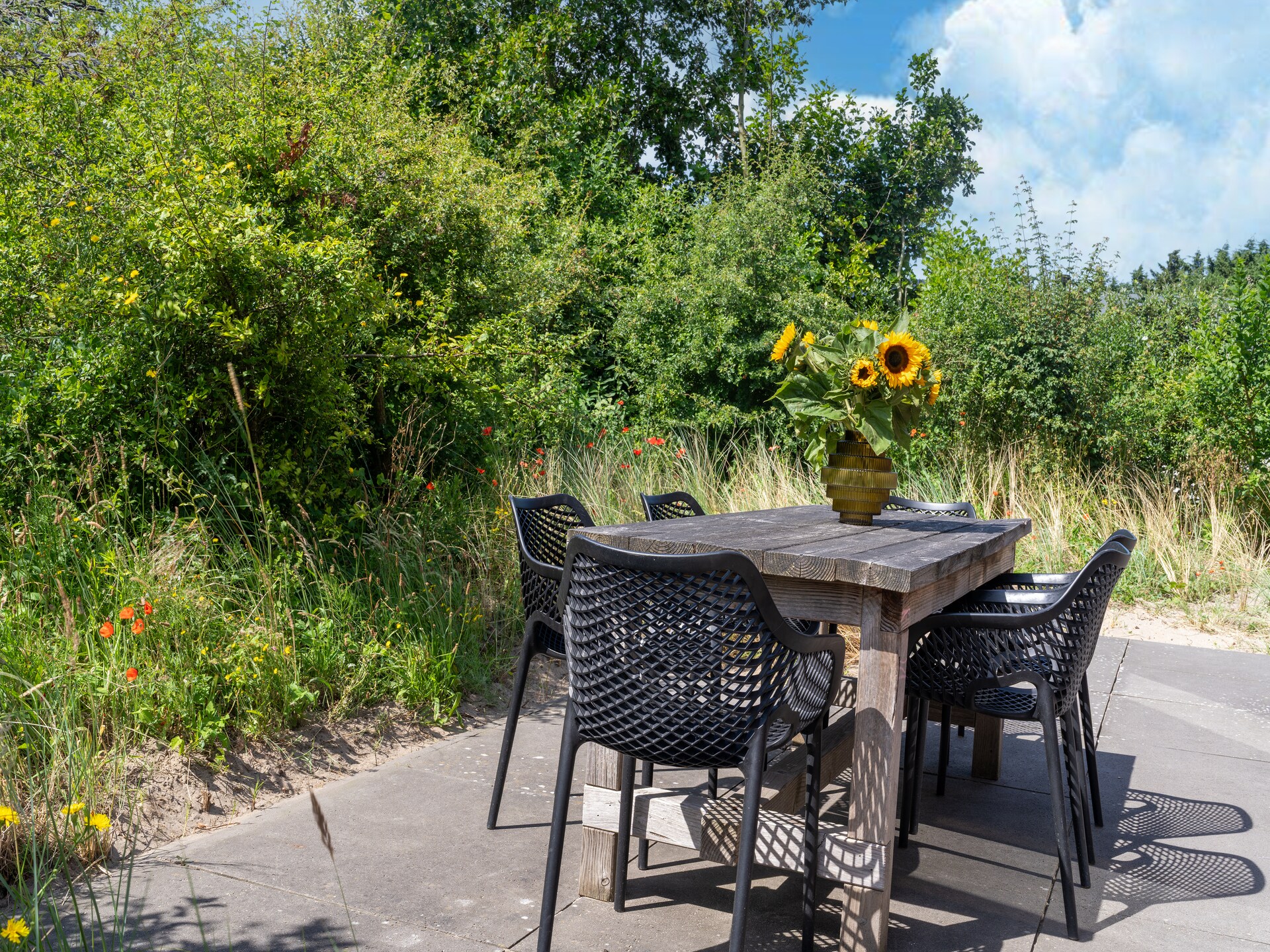 Luxe vakantiehuis Waterland met sauna, tuin en haard bij Egmond aan Zee - foto 6