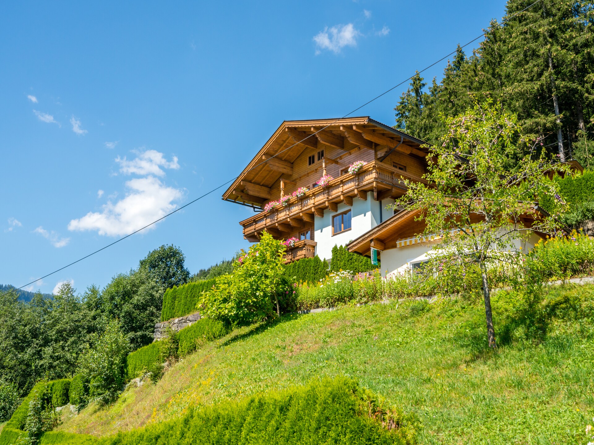 Bergappartement met balkon en uitzicht op Hohe Tauern bij Wald im Pinzgau - foto 3