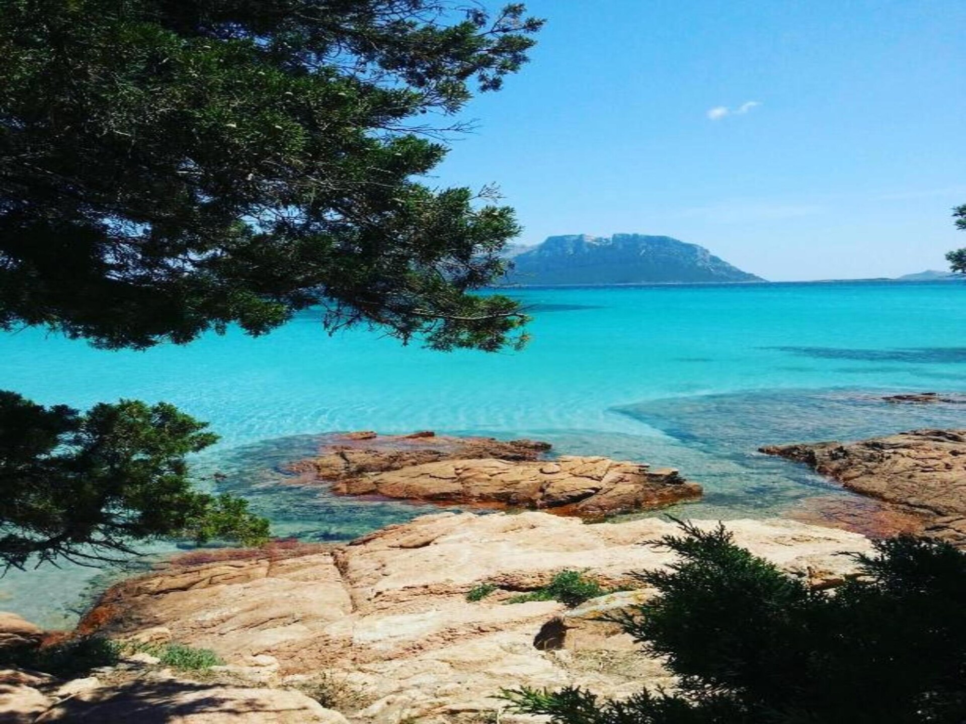 Licht vakantiehuis Gallura Trilo in het centrum van San Teodoro - foto 36