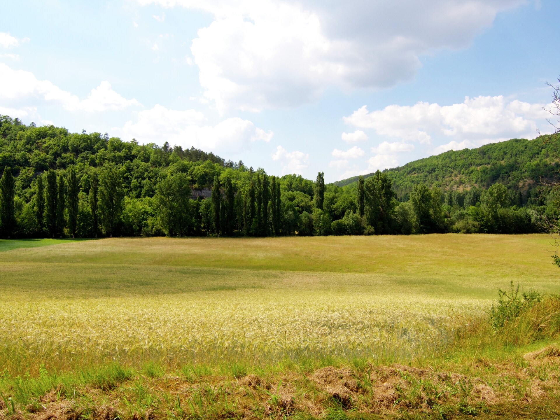 Le Pigeonnier: Vrijstaand vakantiehuis met valleyview in Dordogne - foto 15