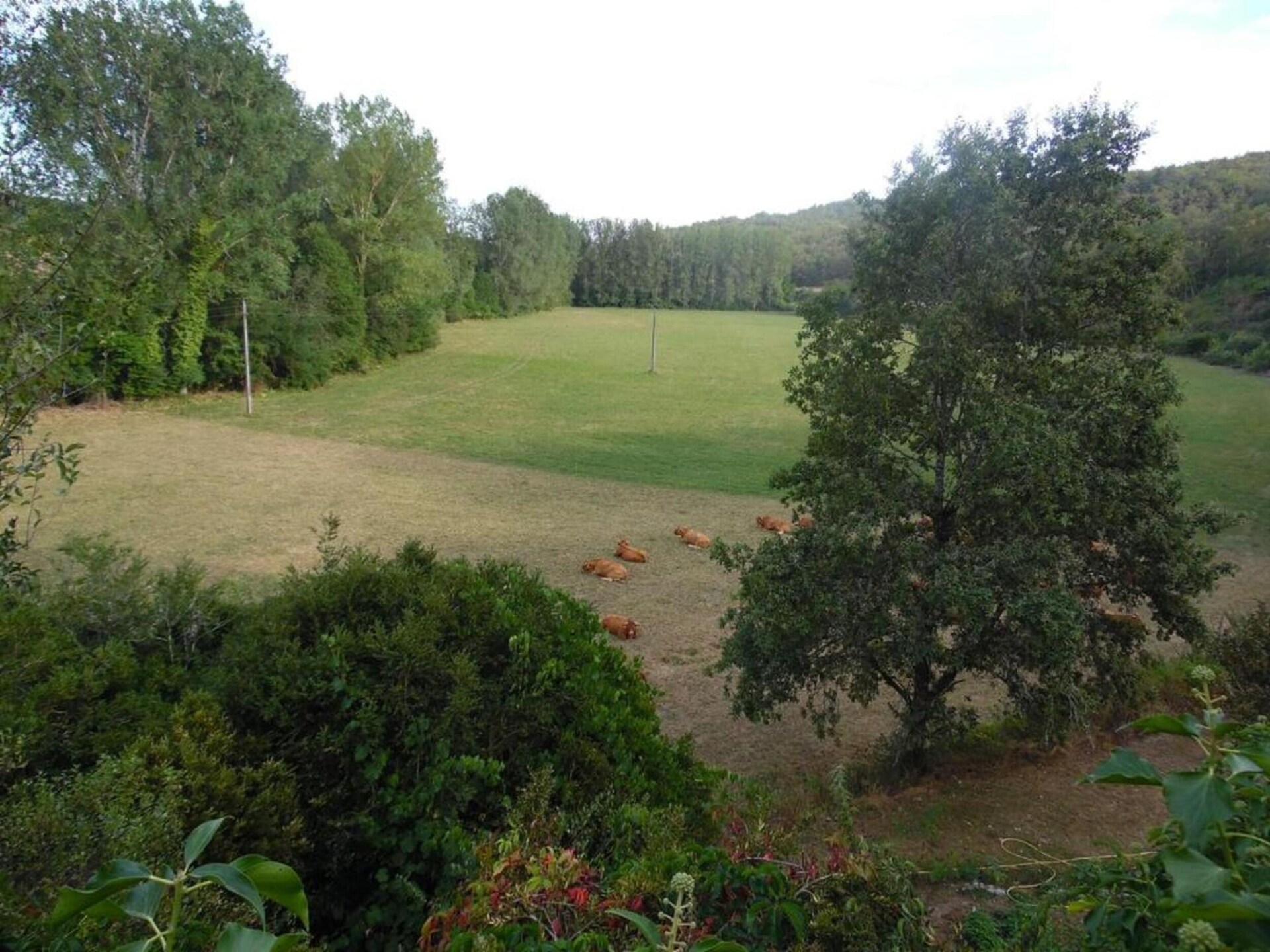 Le Pigeonnier: Vrijstaand vakantiehuis met valleyview in Dordogne - foto 25
