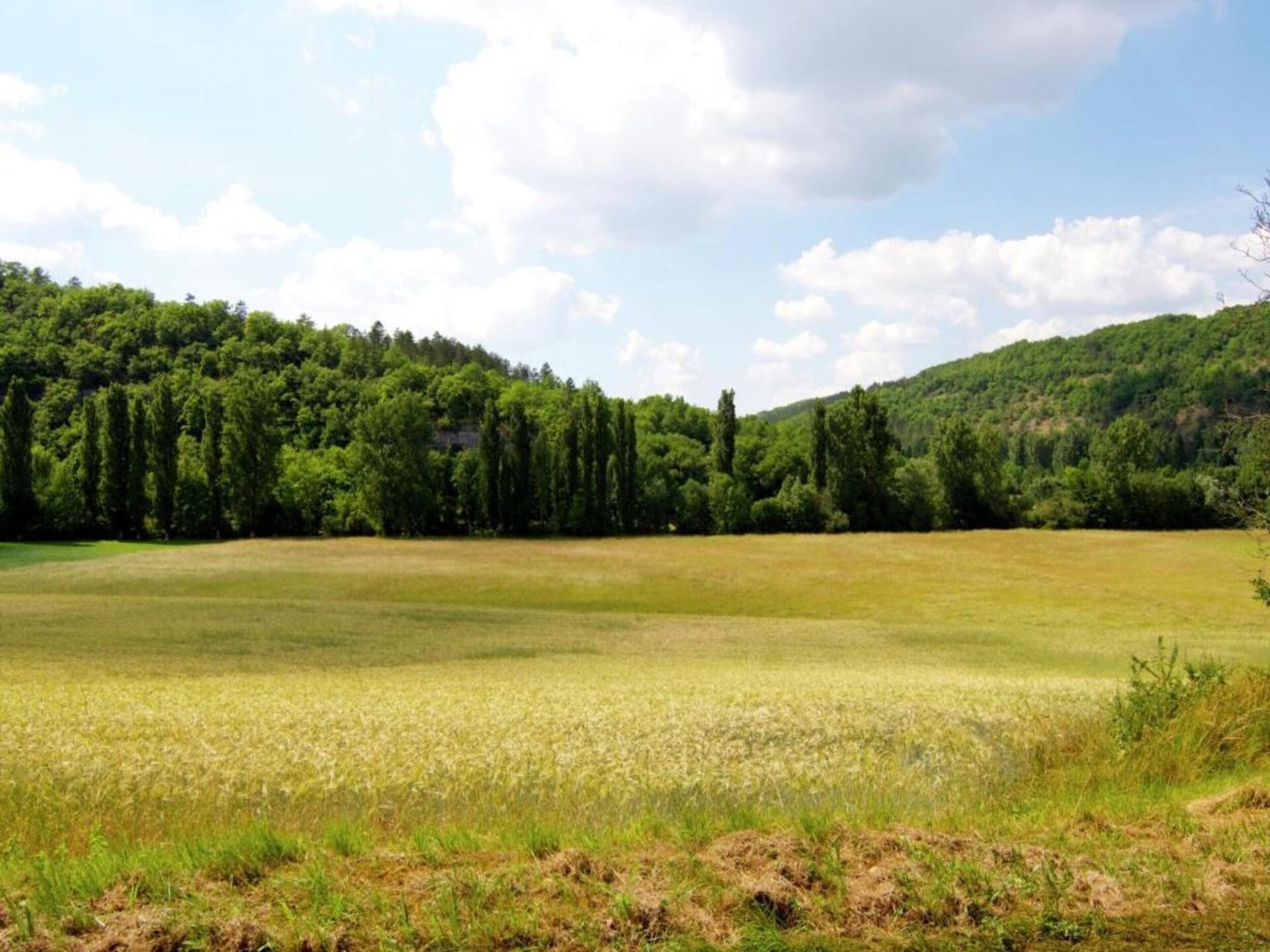 Le Pigeonnier: Vrijstaand vakantiehuis met valleyview in Dordogne - foto 23