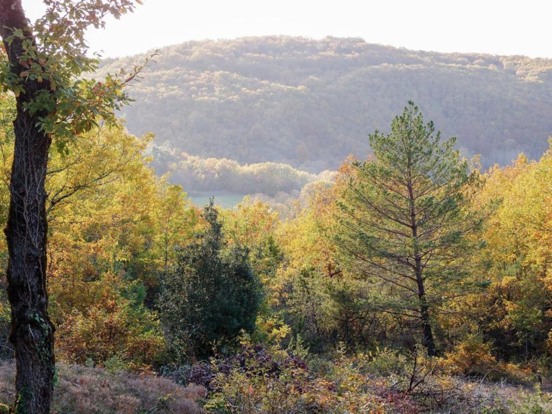 Le Pigeonnier: Vrijstaand vakantiehuis met valleyview in Dordogne - foto 17