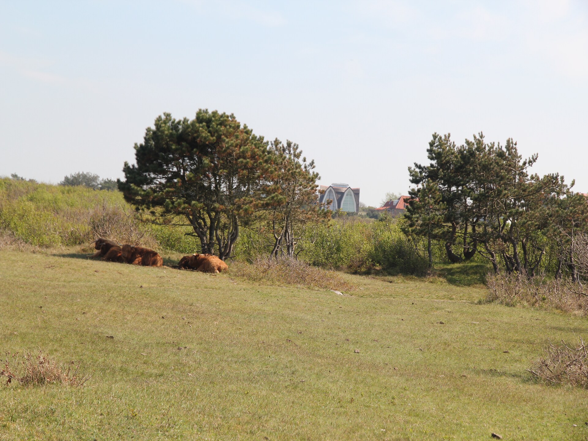 Huize Glory Tijgeroog: stijlvol appartement tussen bos, strand en golfbaan - foto 37