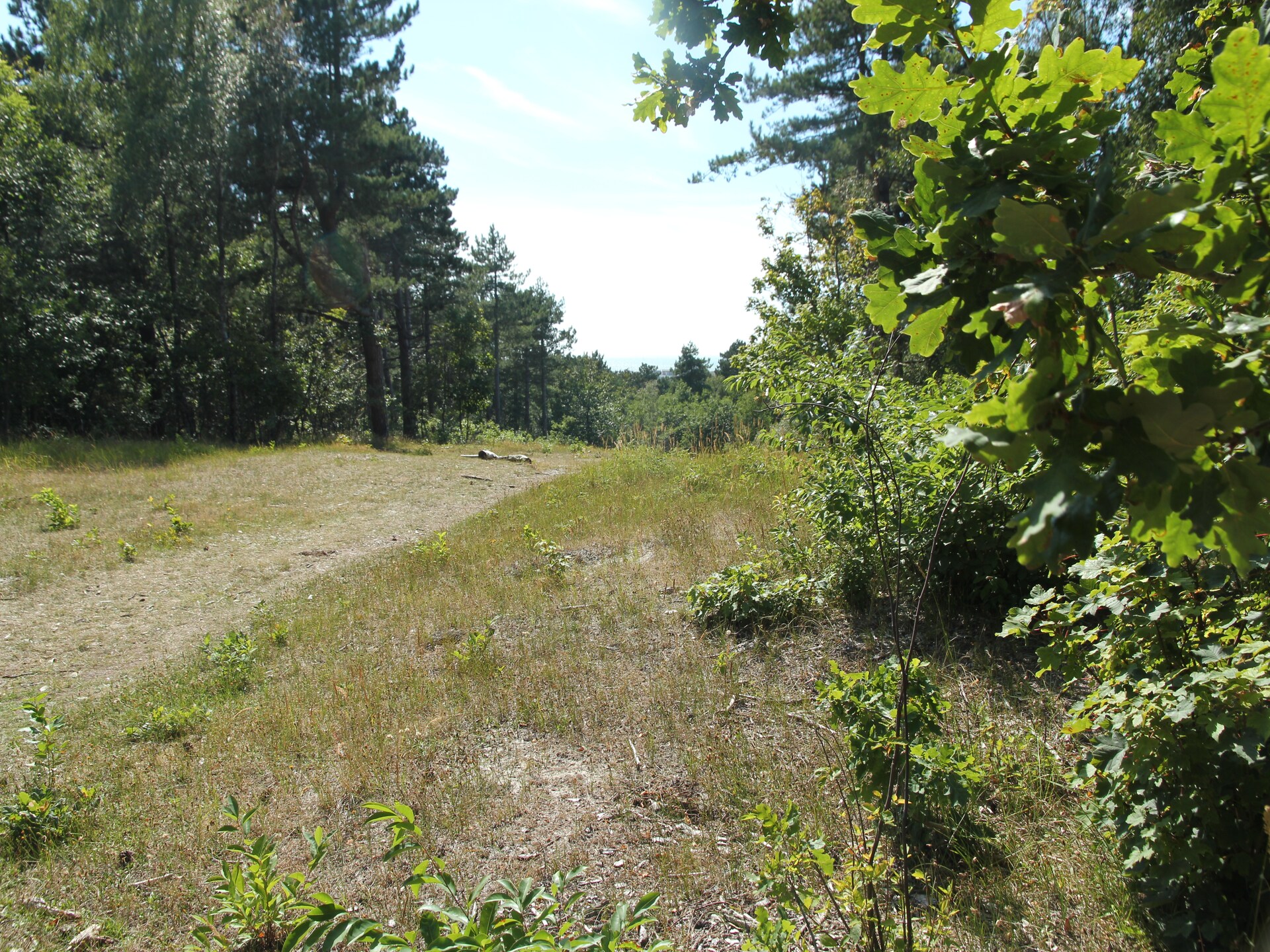 Huize Glory Topaas: sfeervol appartement op loopafstand van zee en duinen - foto 20