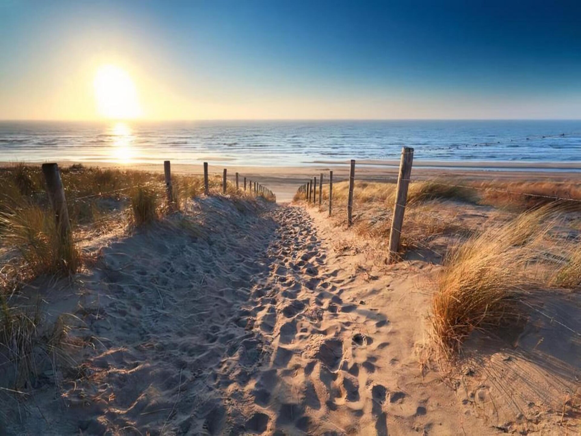 Huize Glory Topaas: sfeervol appartement op loopafstand van zee en duinen - foto 32