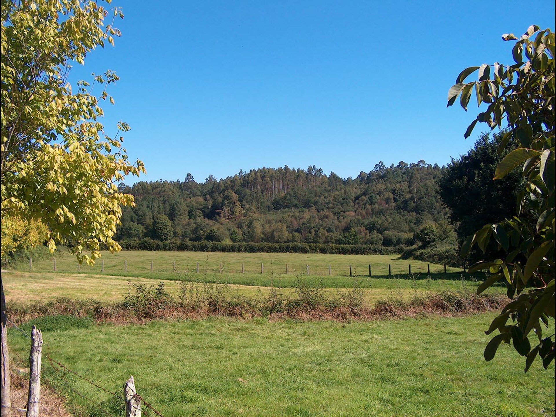 Ecologisch landhuis in Torrecilla en Cameros met uitzicht op de bergen - foto 17