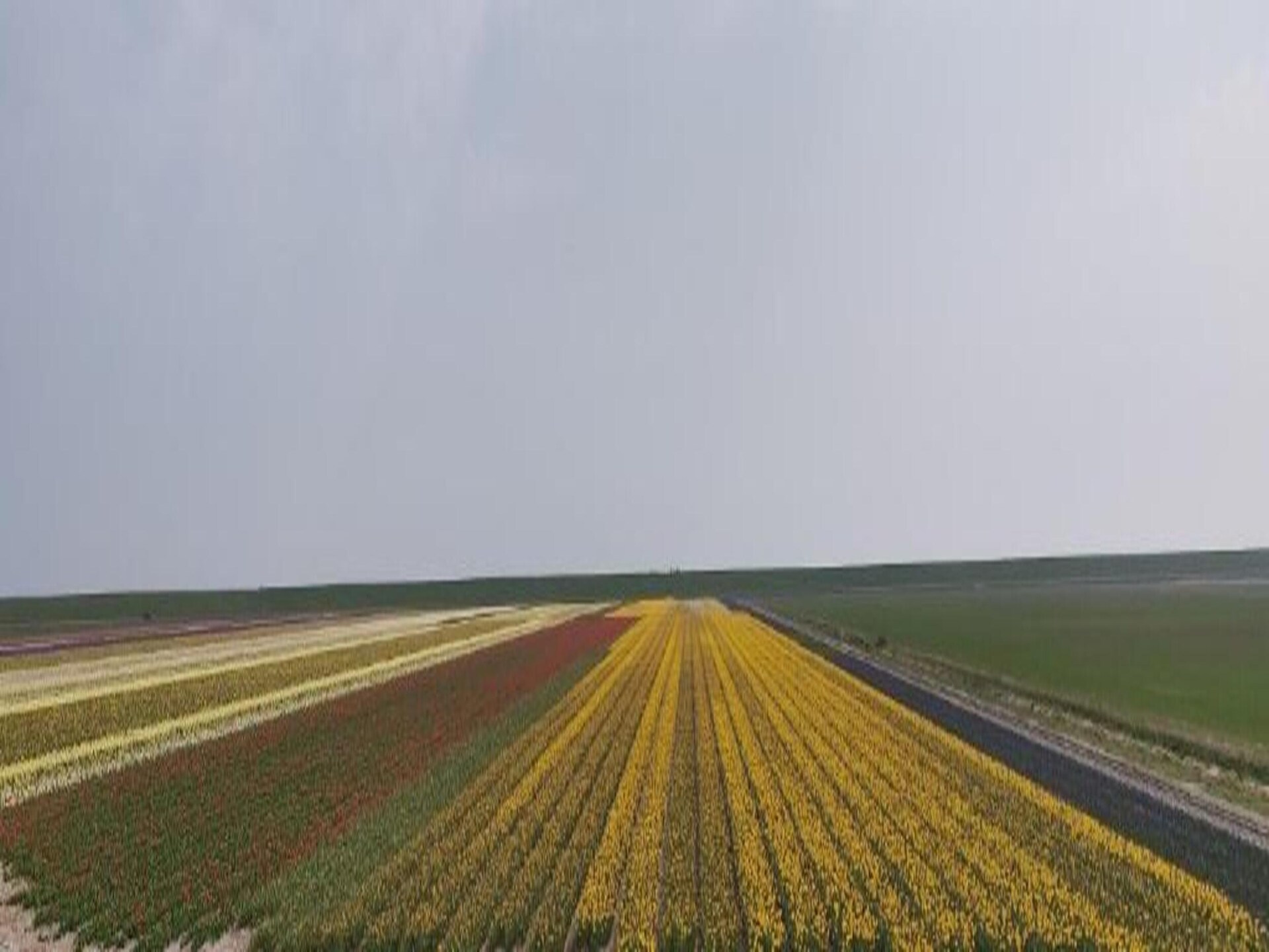 Stijlvol vakantiehuis op Kustpark Texel, 2 min van het strand - foto 35