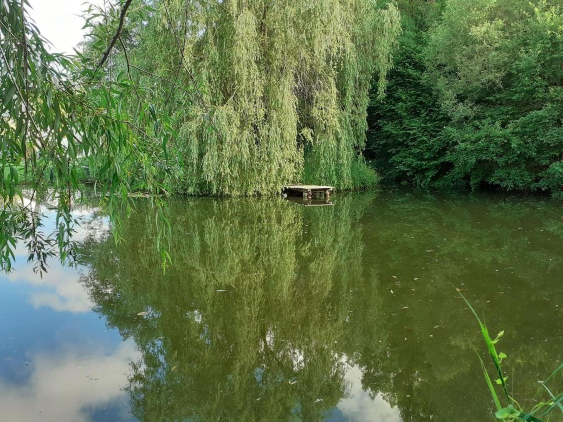 Vrijstaande bungalow aan de bosrand bij Neustadt, 4 personen - foto 15