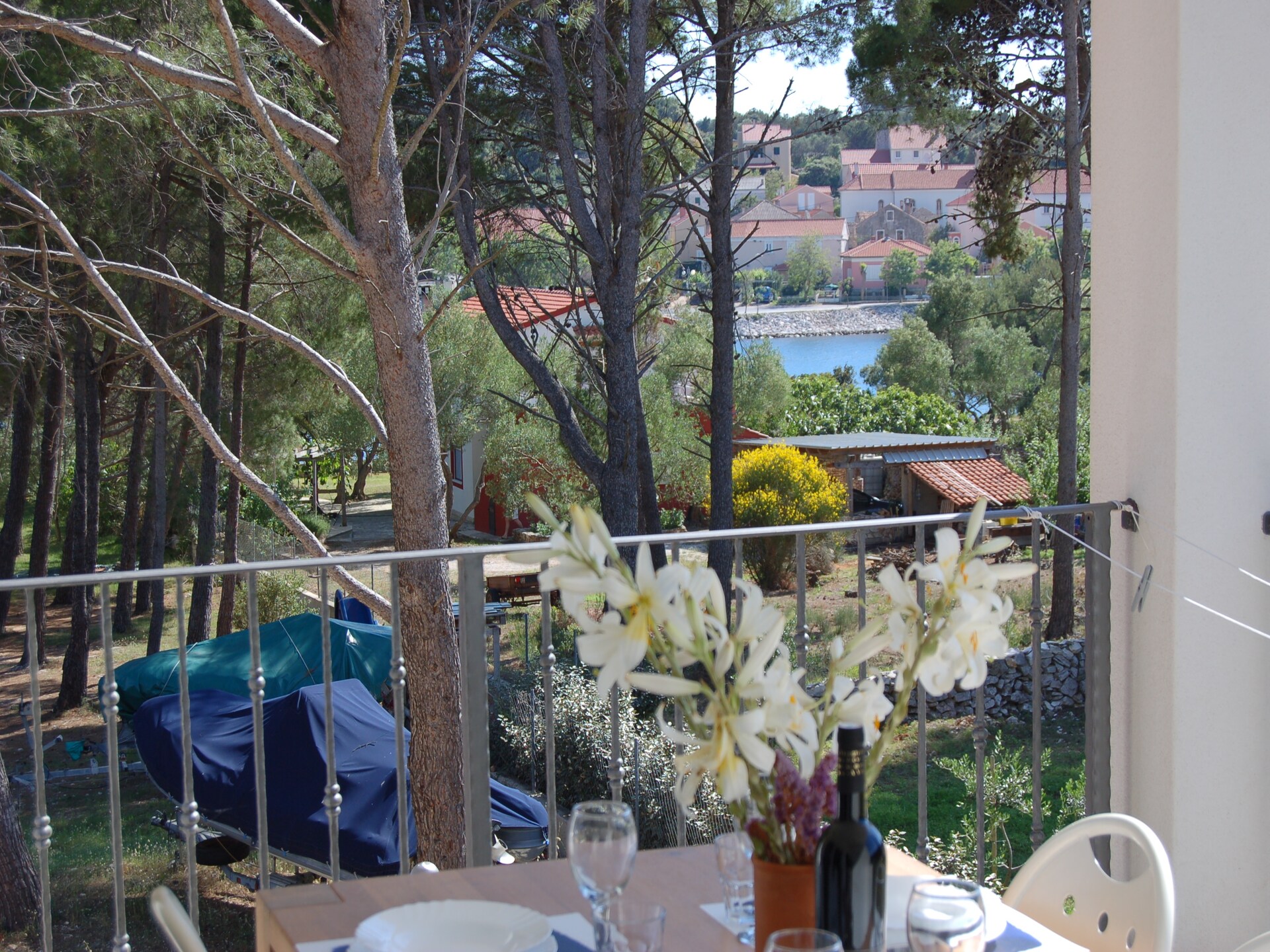 Gorgonia S3: Knus appartement bij zee in Veli Rat, Dugi Otok - foto 14