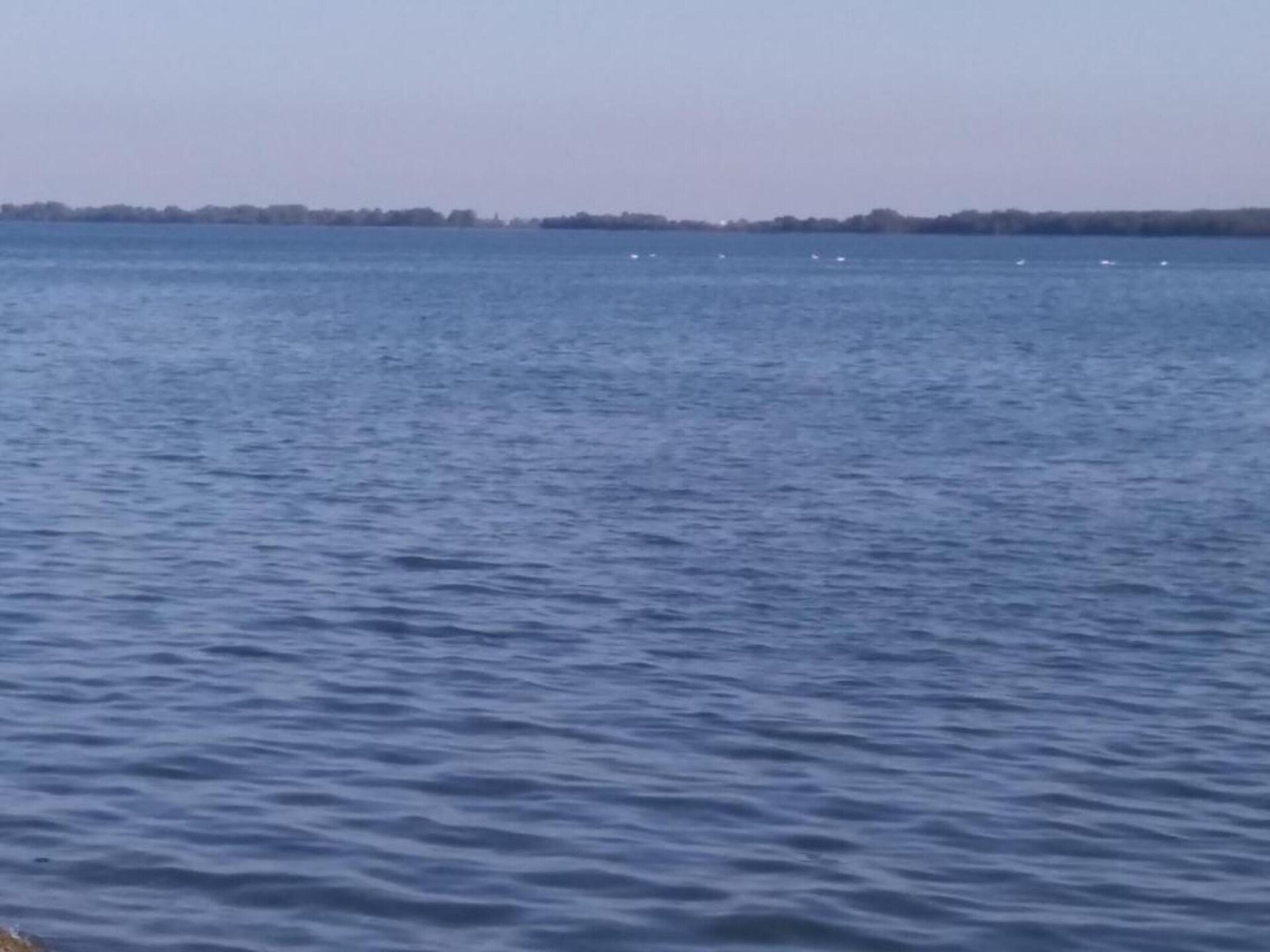 Gorgonia S3: Knus appartement bij zee in Veli Rat, Dugi Otok - foto 35