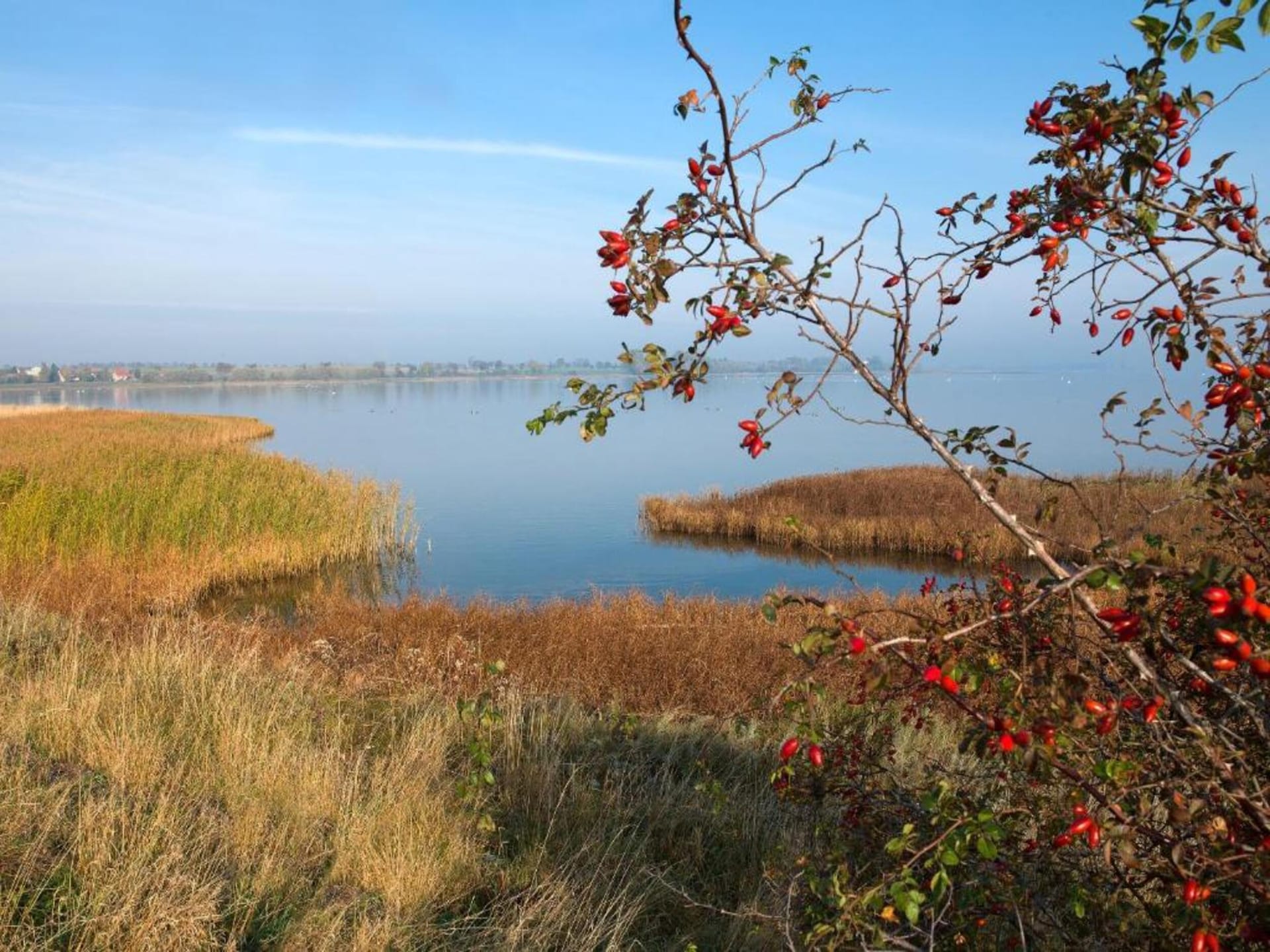Centraal gelegen bungalow op Insel Poel voor 2 personen - foto 19