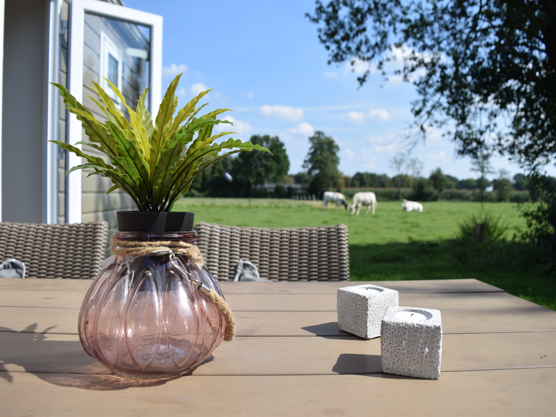 Knus vrijstaand chalet met tuin op Recreatiepark de Boshoek in Voorthuizen - foto 19