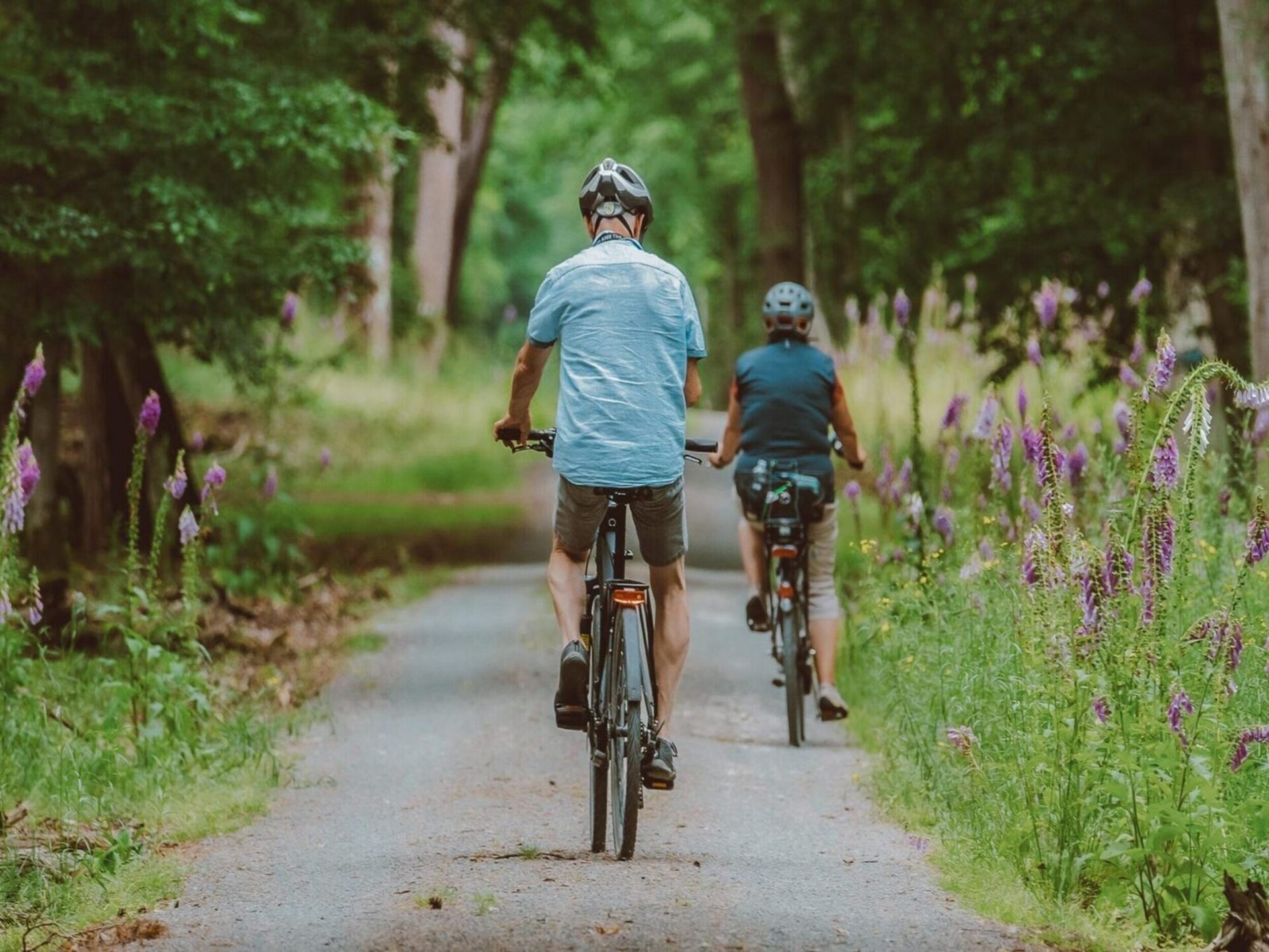 Chalet op Recreatiepark de Boshoek: wellness, natuur en honden welkom - foto 34