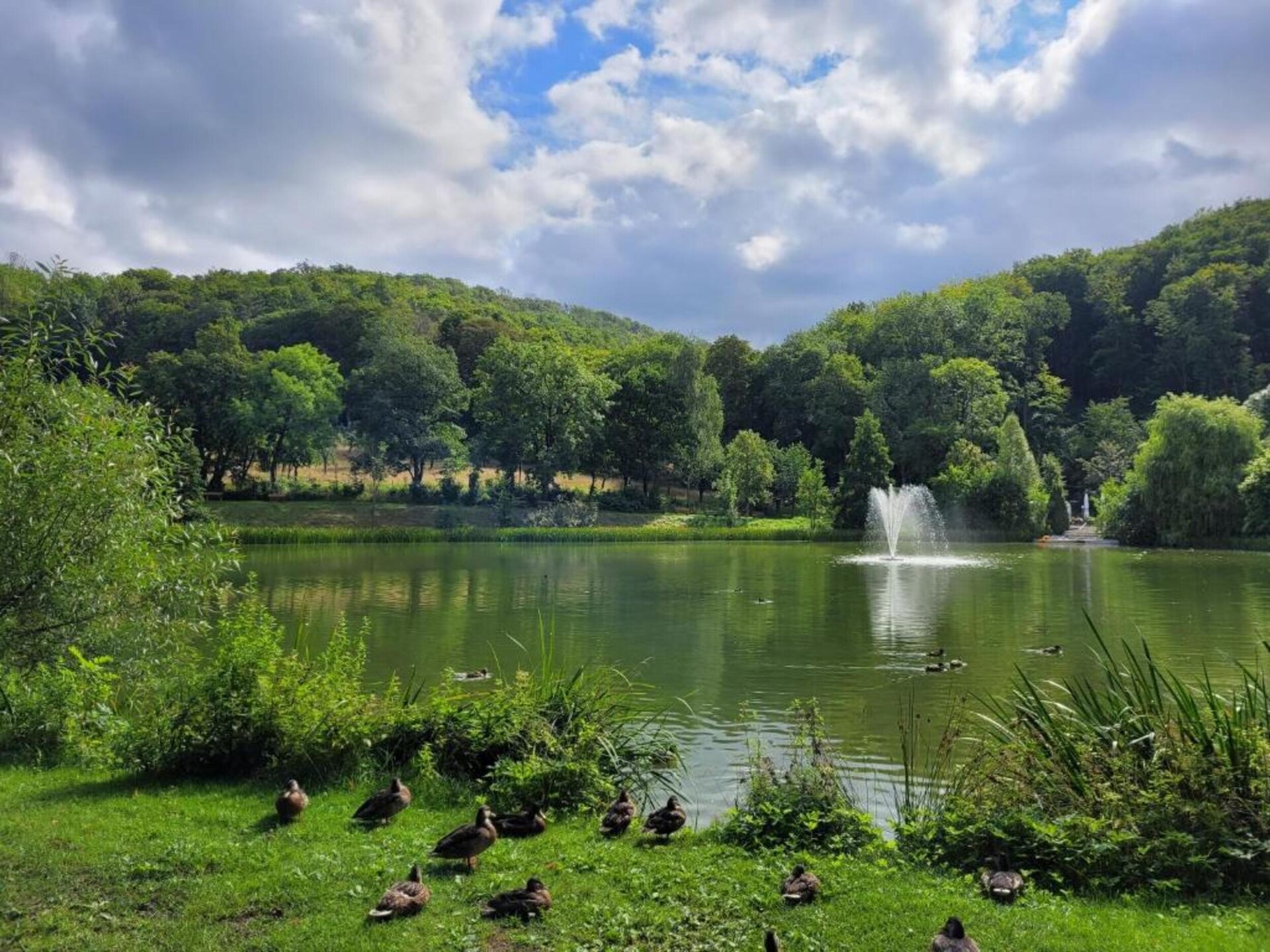 Vrijstaande bosbungalow voor 4 personen aan de golfbaan in Neustadt/Harz - foto 27