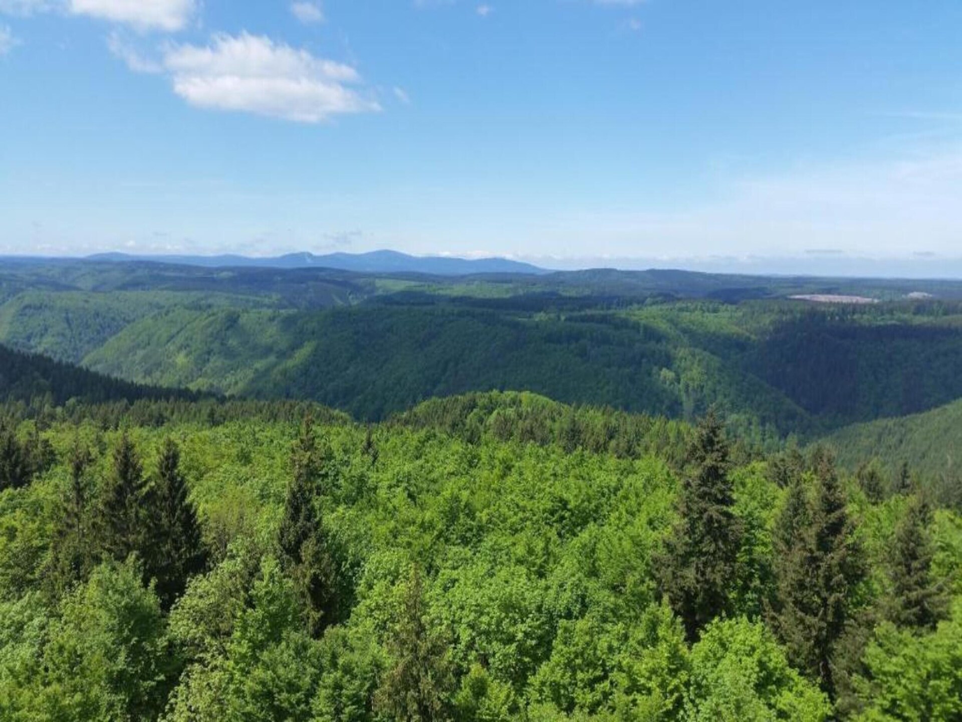 Vrijstaande bosbungalow voor 4 personen aan de golfbaan in Neustadt/Harz - foto 26