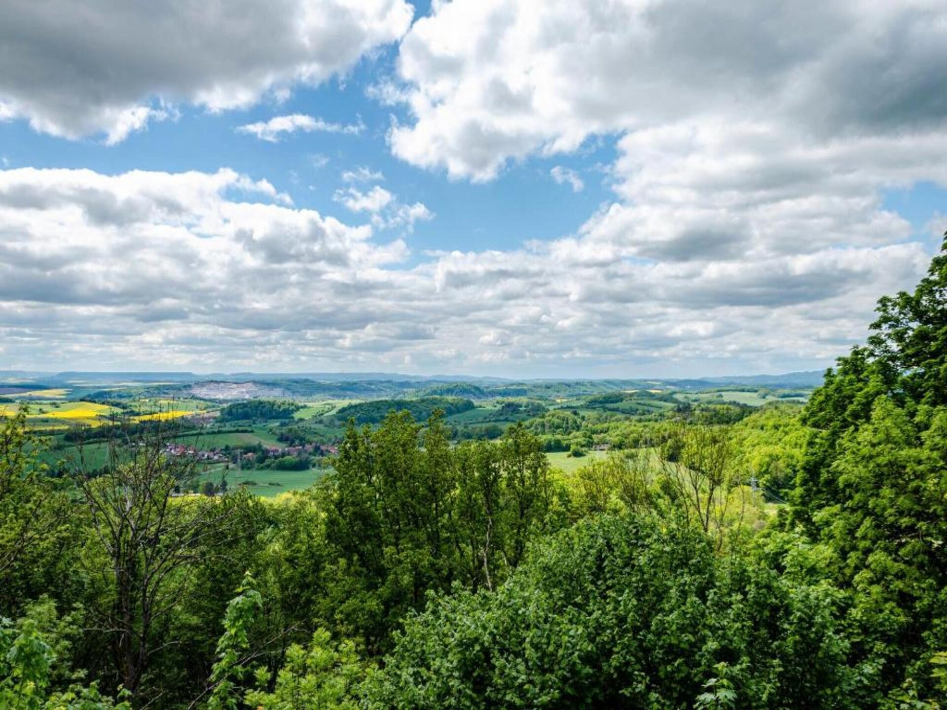 Vrijstaande bosbungalow voor 4 personen aan de golfbaan in Neustadt/Harz - foto 29