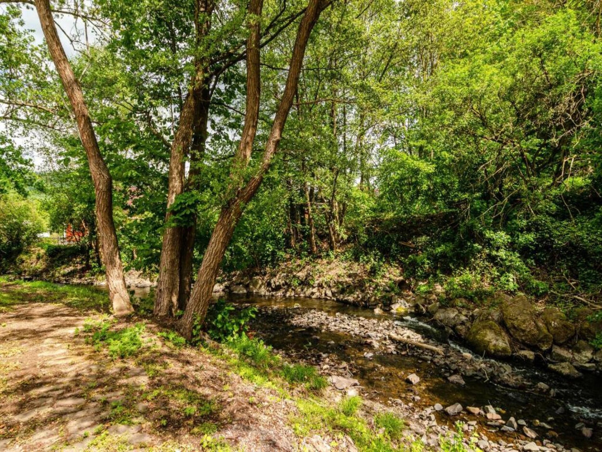 Vrijstaande bosbungalow voor 4 personen aan de golfbaan in Neustadt/Harz - foto 30