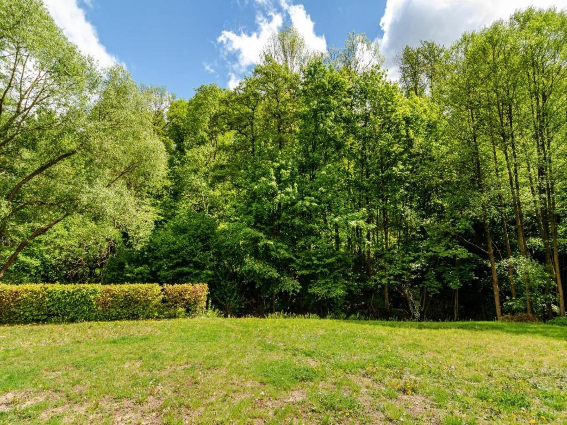 Vrijstaande bosbungalow voor 4 personen aan de golfbaan in Neustadt/Harz - foto 32