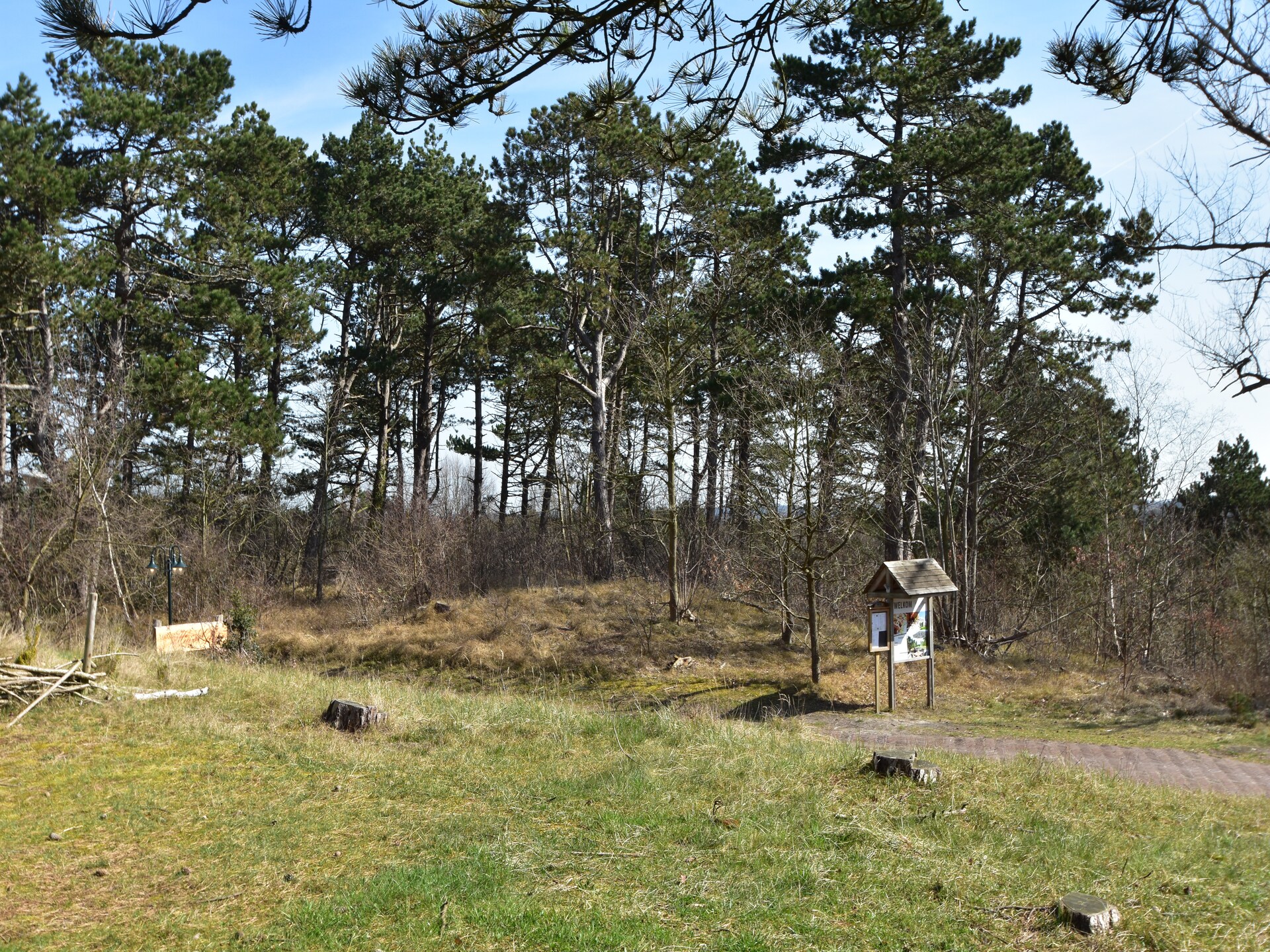 Huize Glory Turkoois: comfortabel vakantiehuis tussen bos en duinen - foto 17