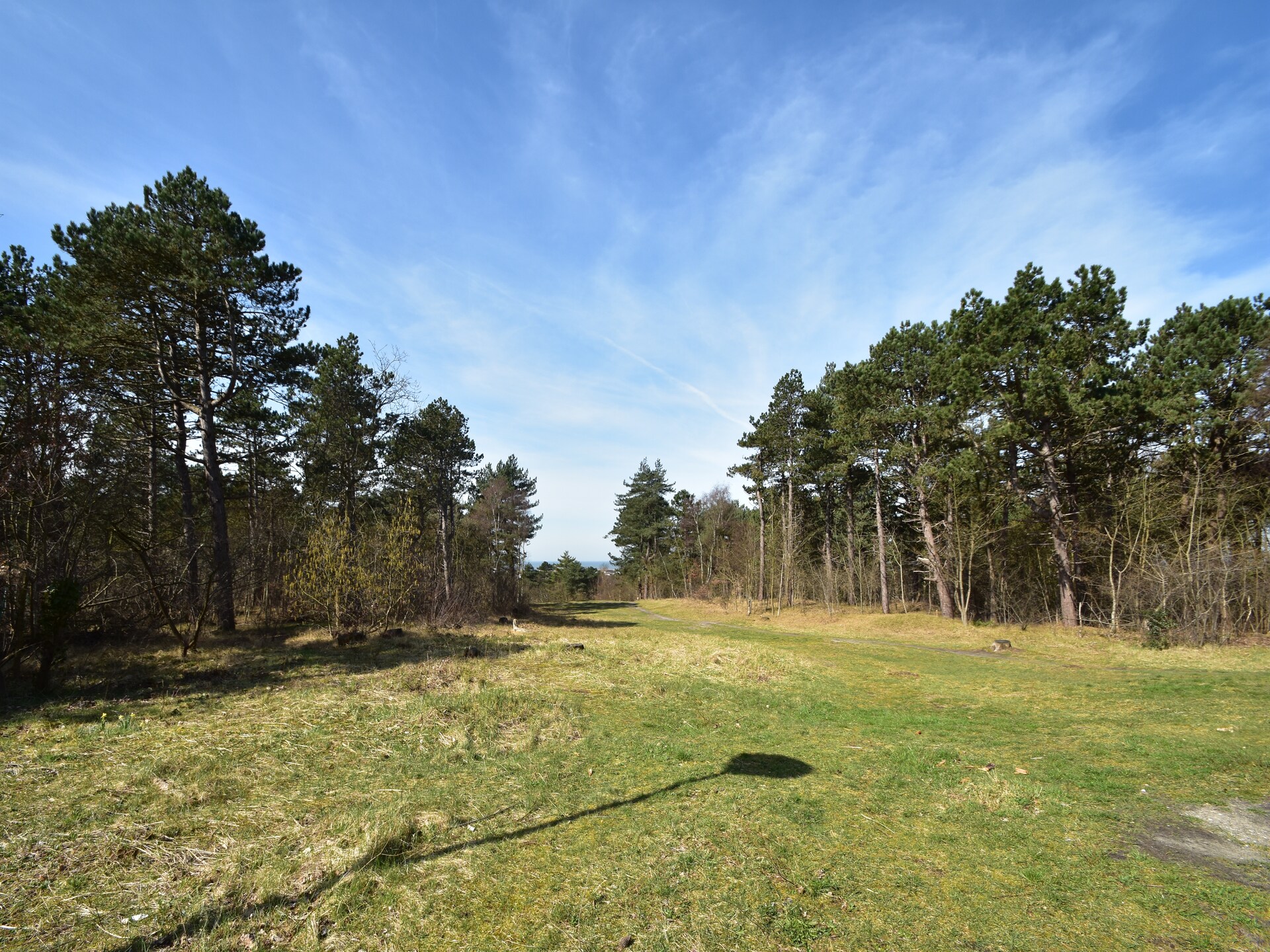 Huize Glory Turkoois: comfortabel vakantiehuis tussen bos en duinen - foto 16