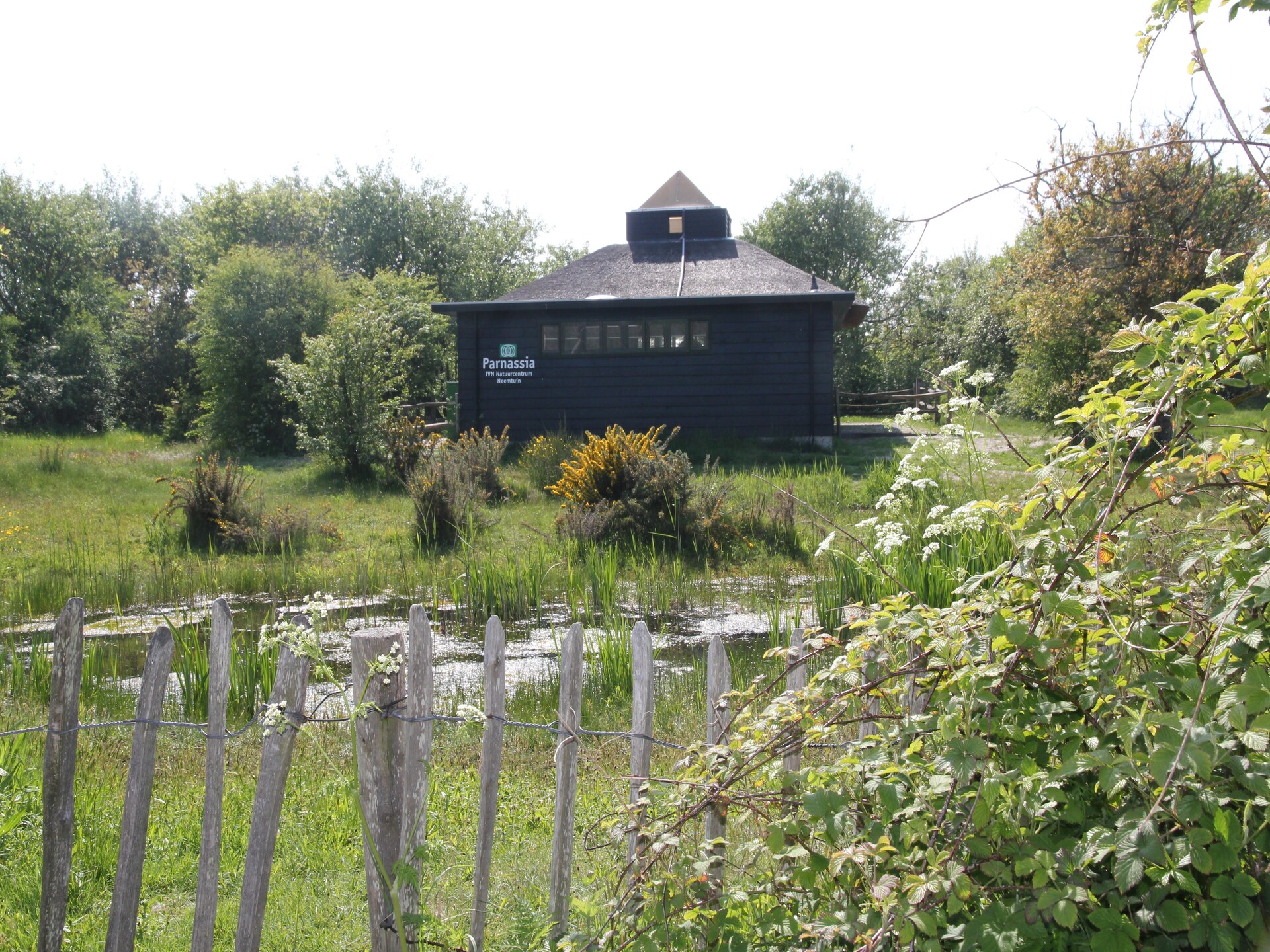 Huize Glory Turkoois: comfortabel vakantiehuis tussen bos en duinen - foto 19